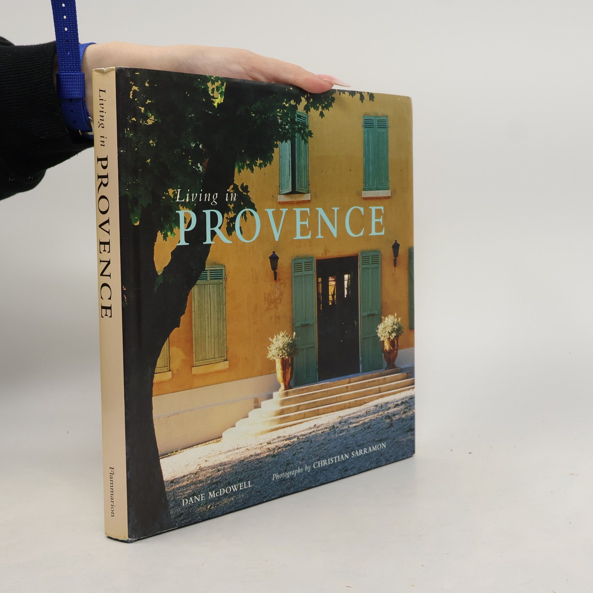 Dane Mcdowell Living In...: Living in Provence