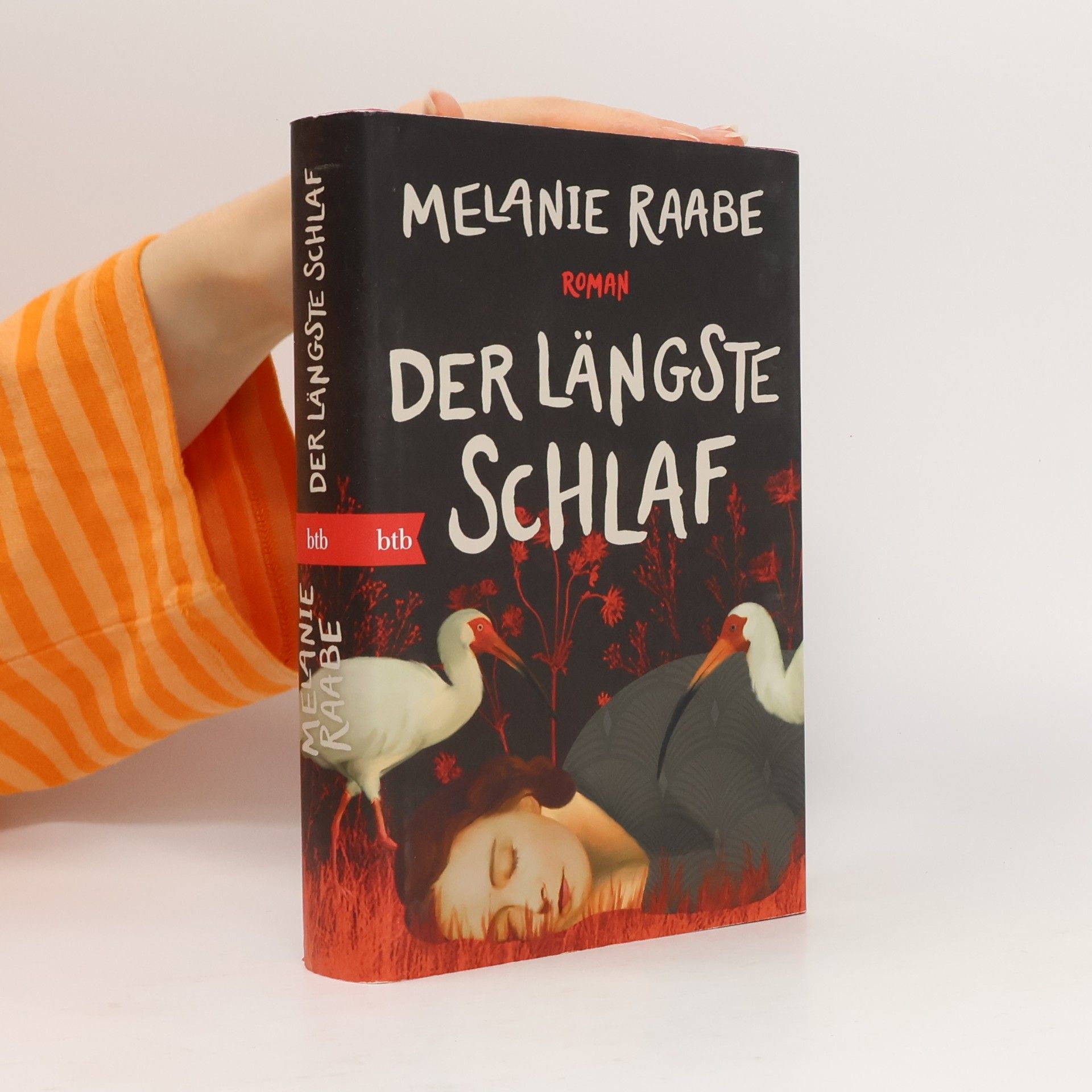 Der längste Schlaf. Roman