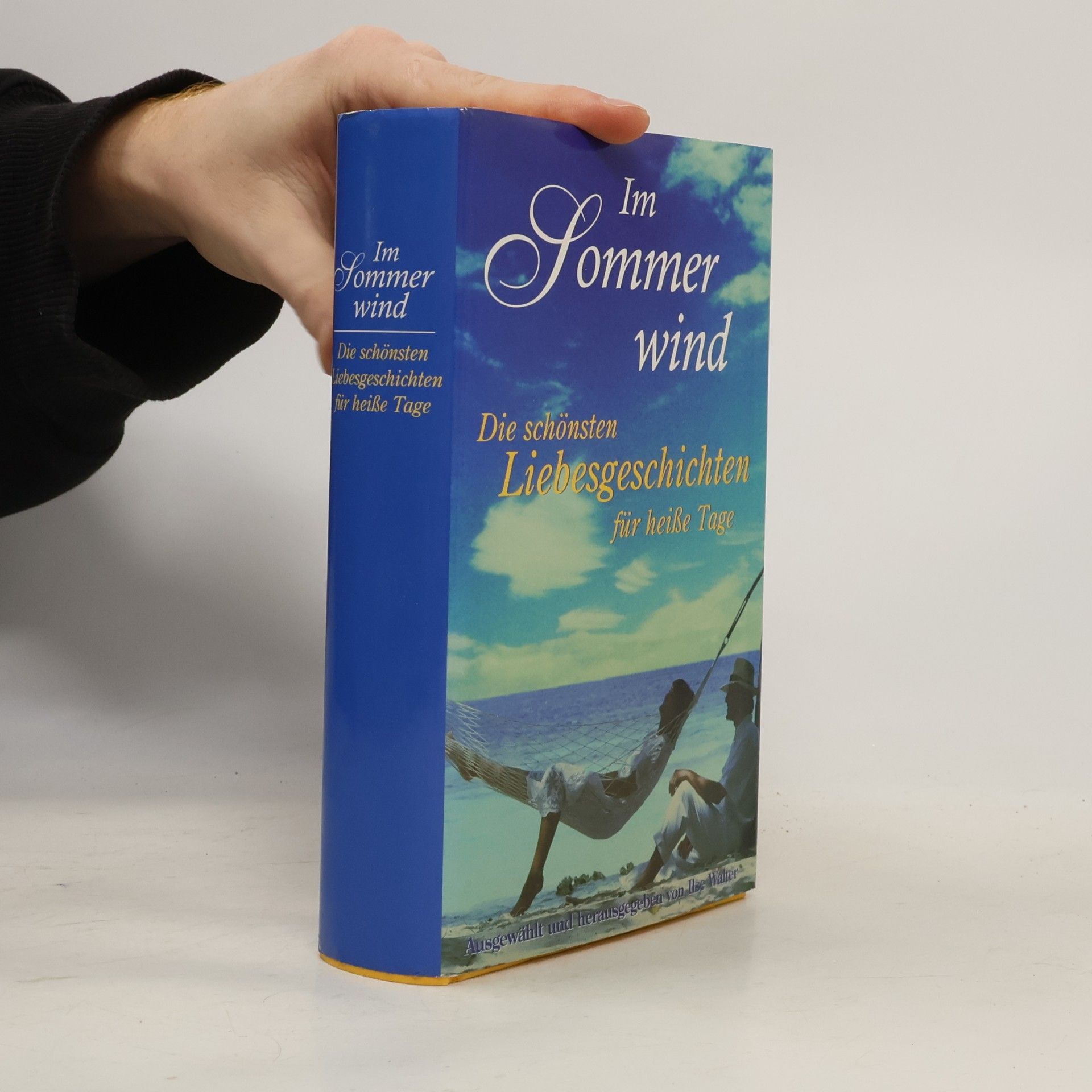 Kolektiv autorů Im Sommerwind
