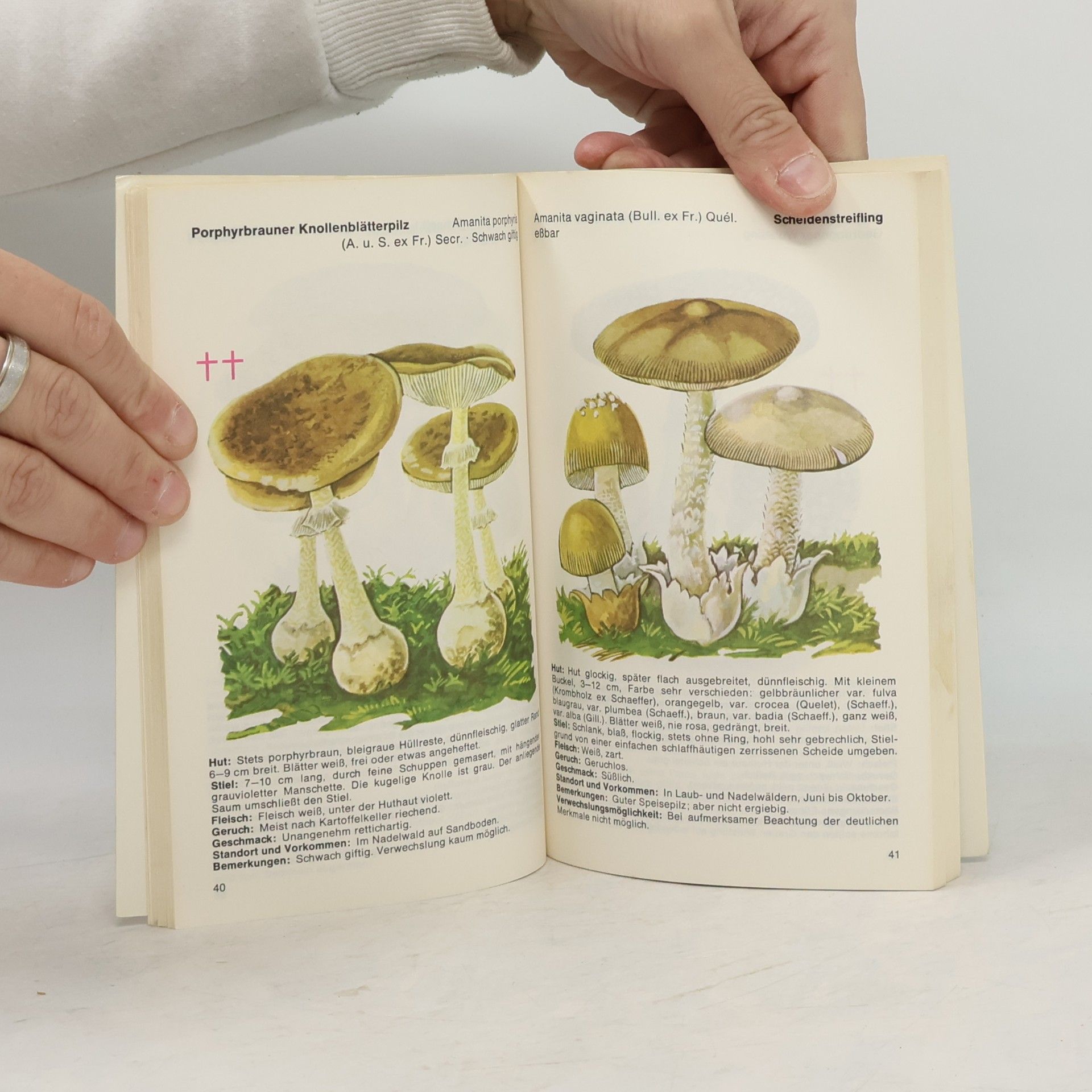 Collectif d'auteurs Pilze sammeln. Ein farbiger Führer durch die Natur