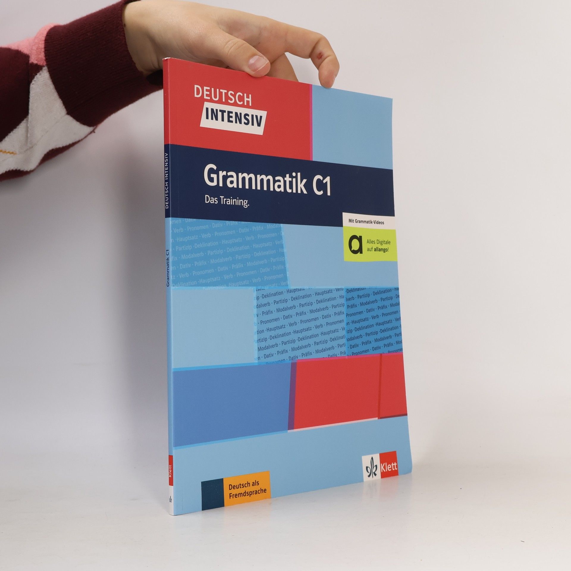 Deutsch intensiv Grammatik C1. Das Training. Buch mit Videos