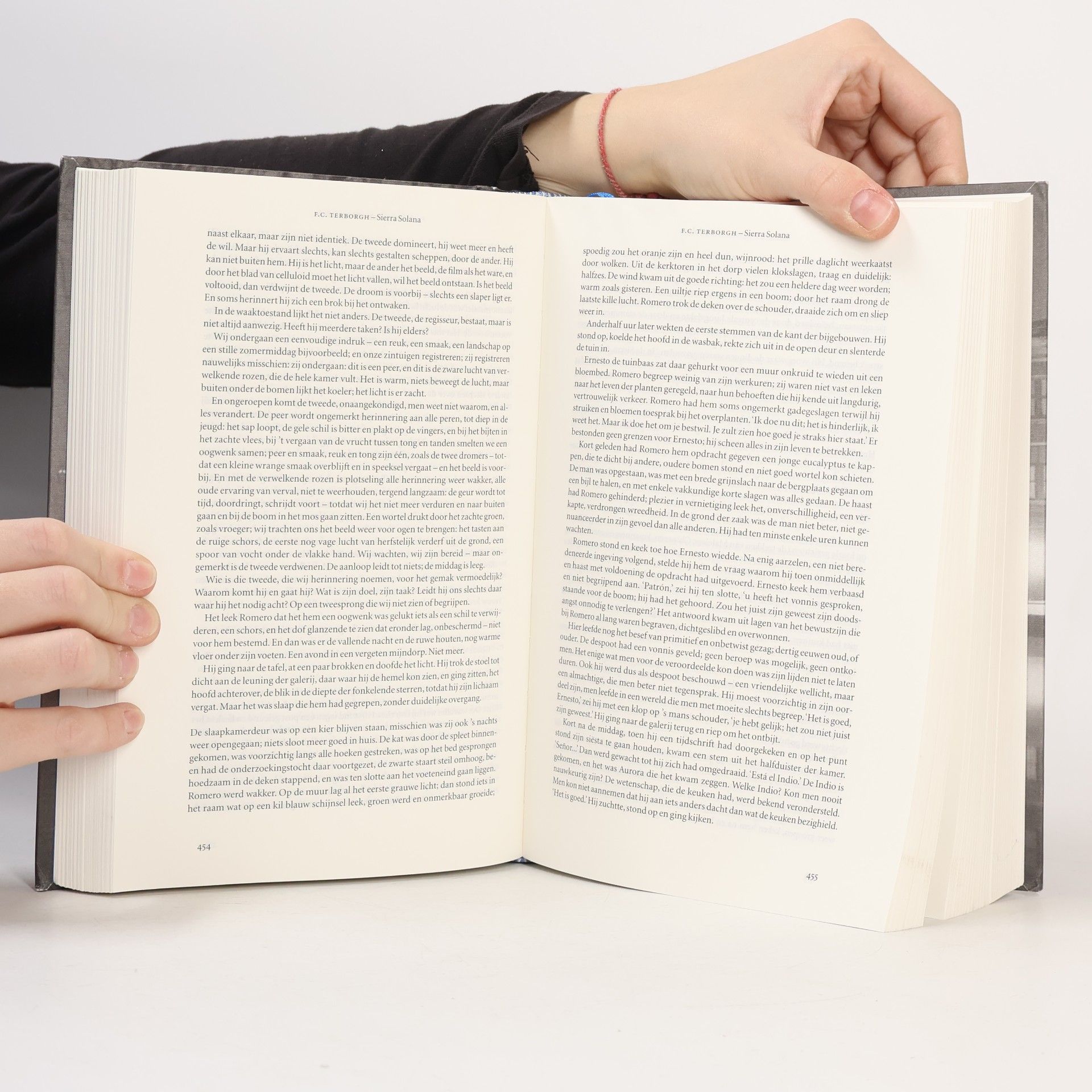 Joost Zwagerman De Nederlandse en Vlaamse literatuur vanaf 1880 in 60 lange verhalen