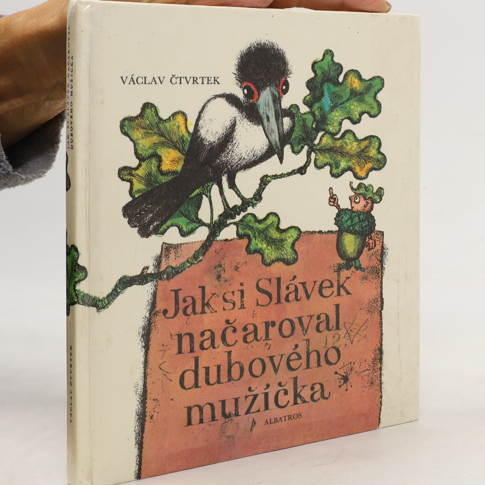 Jak si Slávek načaroval dubového mužíčka