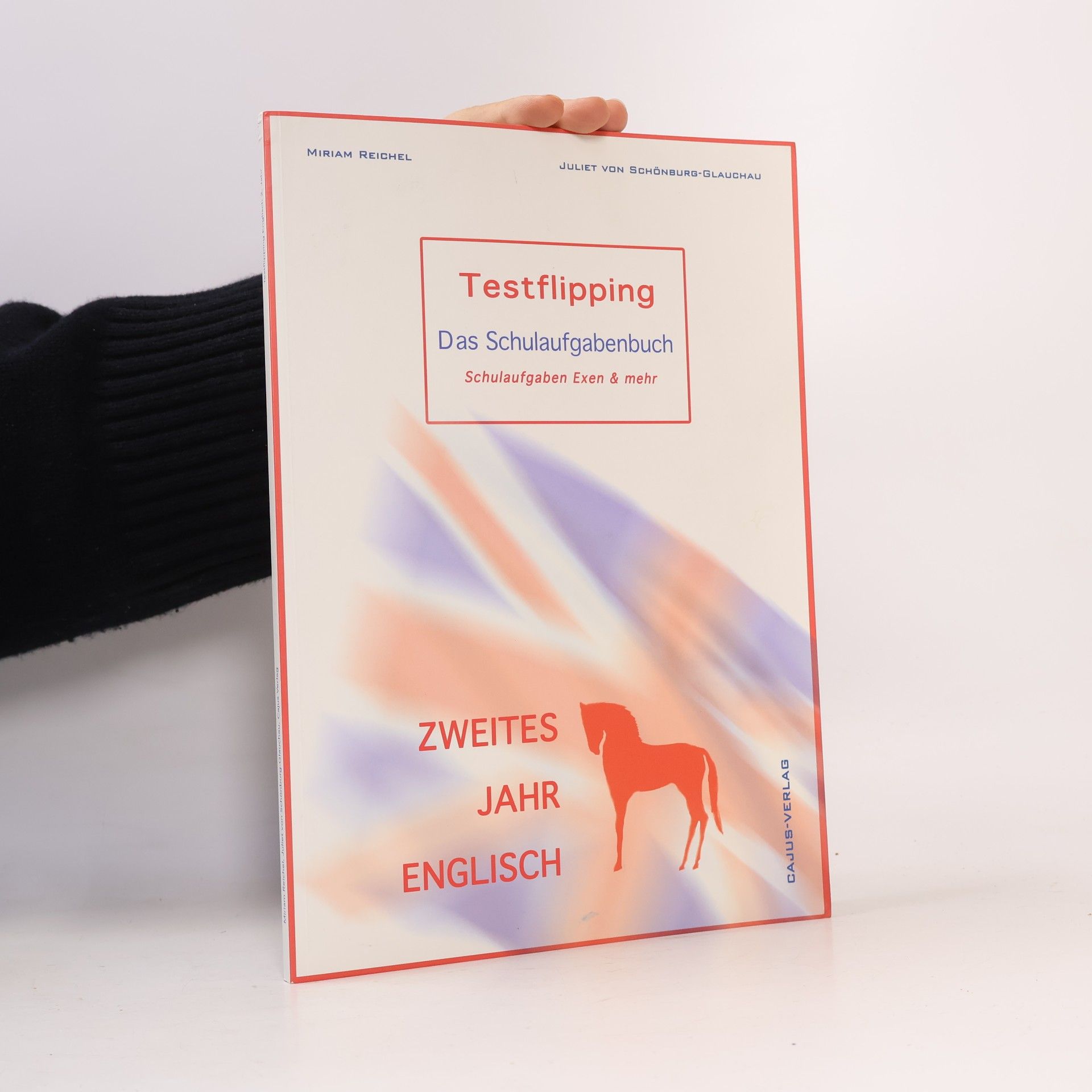 Testflipping 2. Jahr Englisch - Das Schulaufgabenbuch