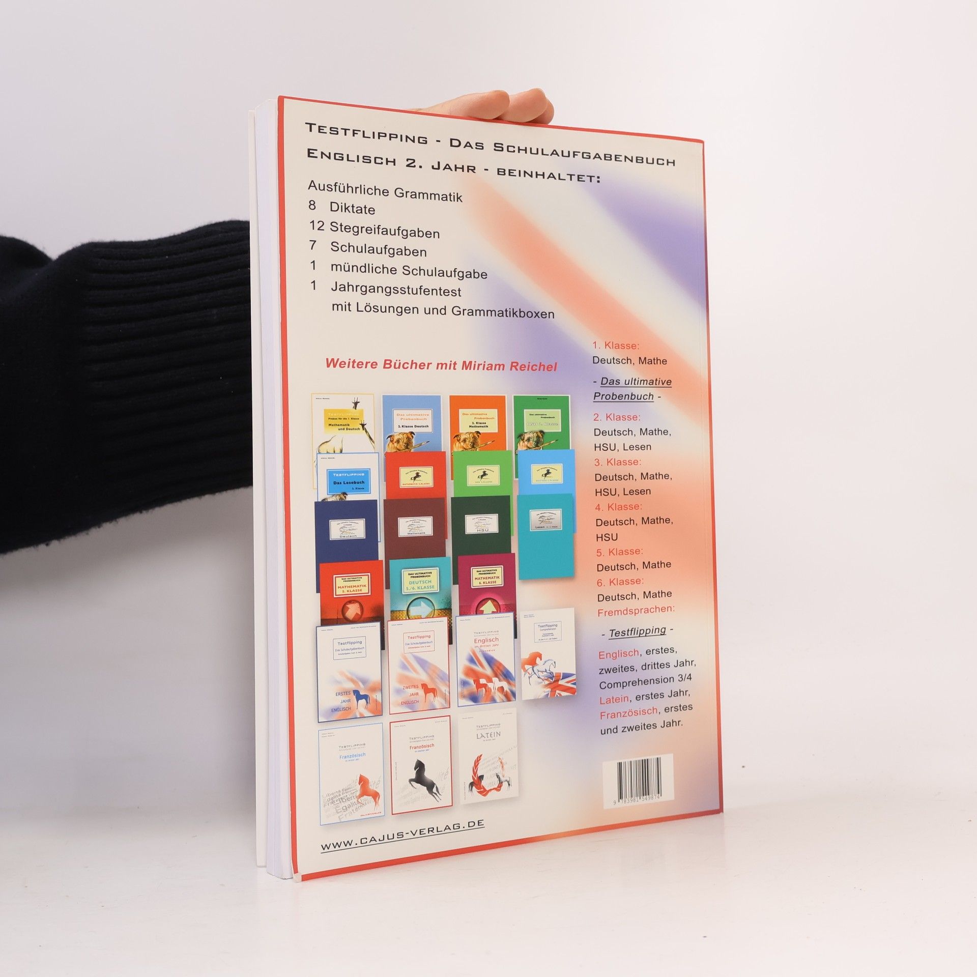 Miriam Reichel Testflipping 2. Jahr Englisch - Das Schulaufgabenbuch
