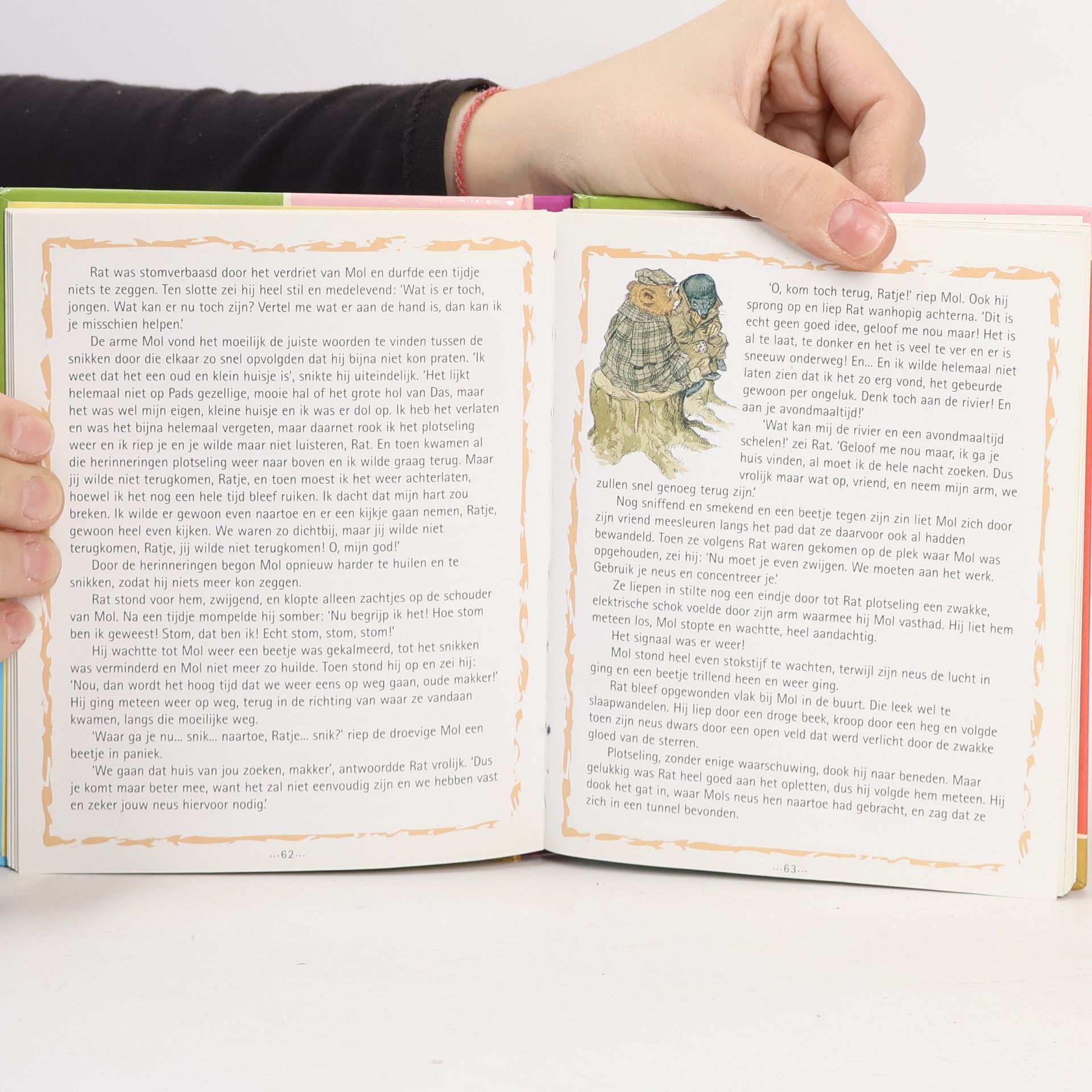 Kenneth Grahame De wind in de wilgen