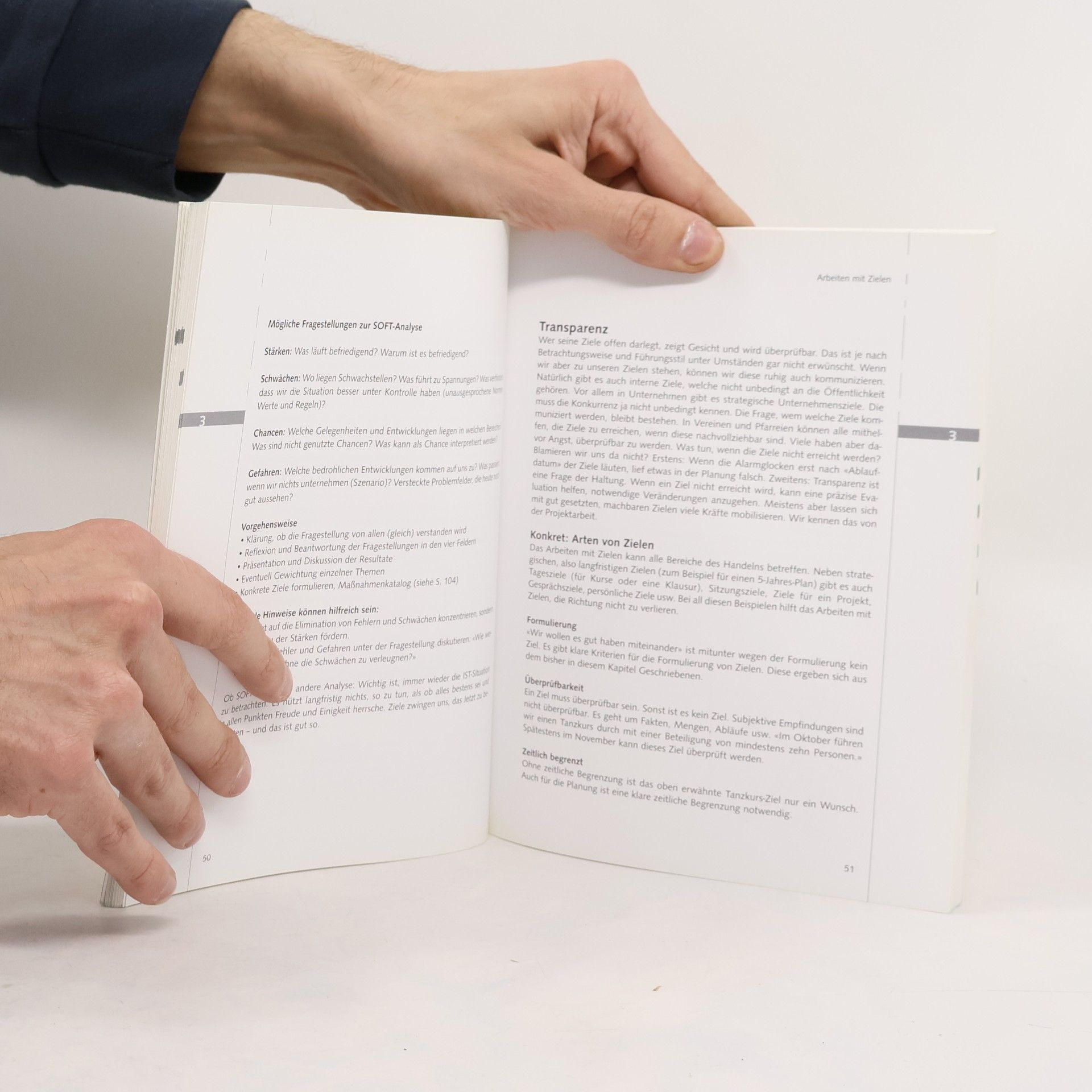 Claudio Brentini Praxishandbuch Führen