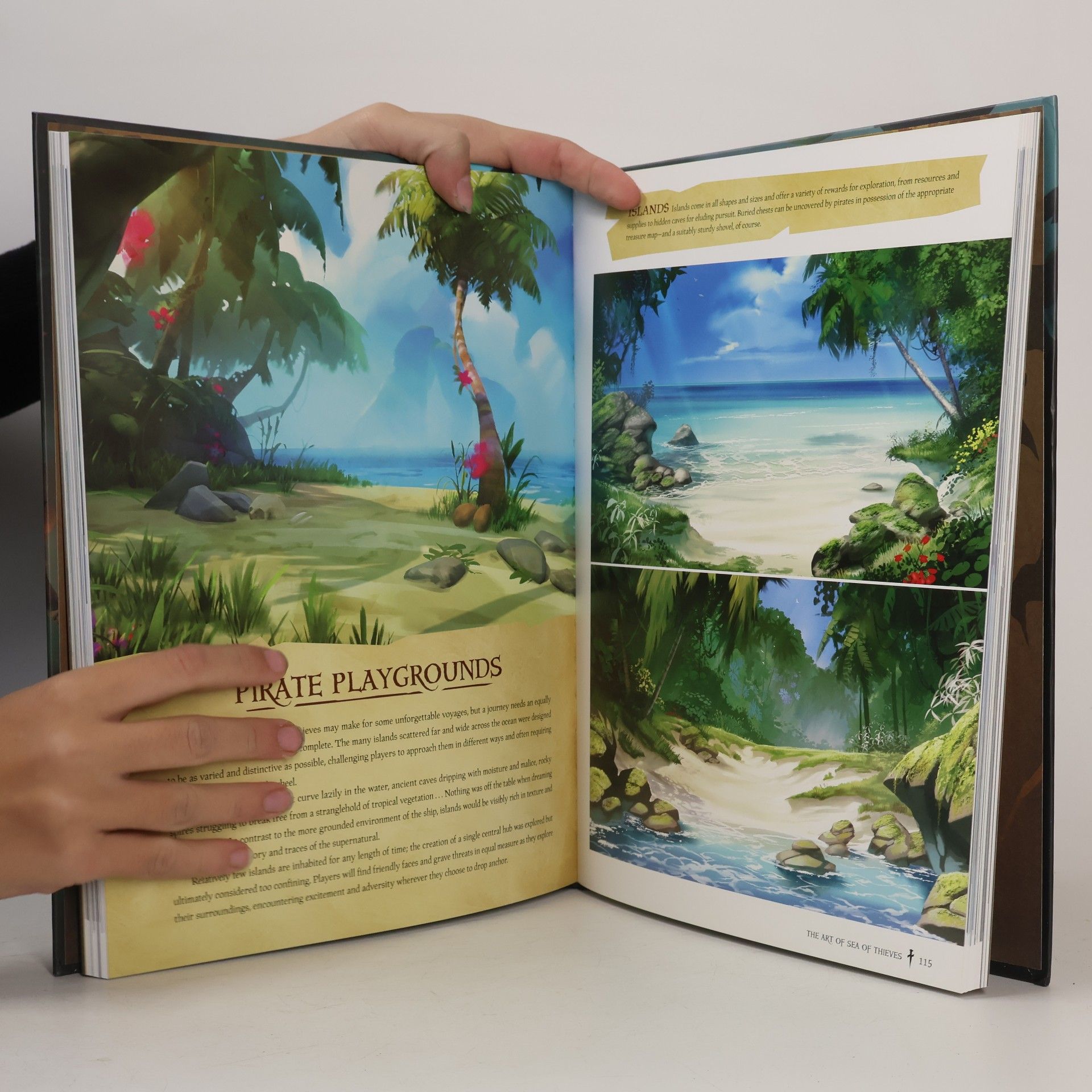 Rare The Art of Sea of Thieves