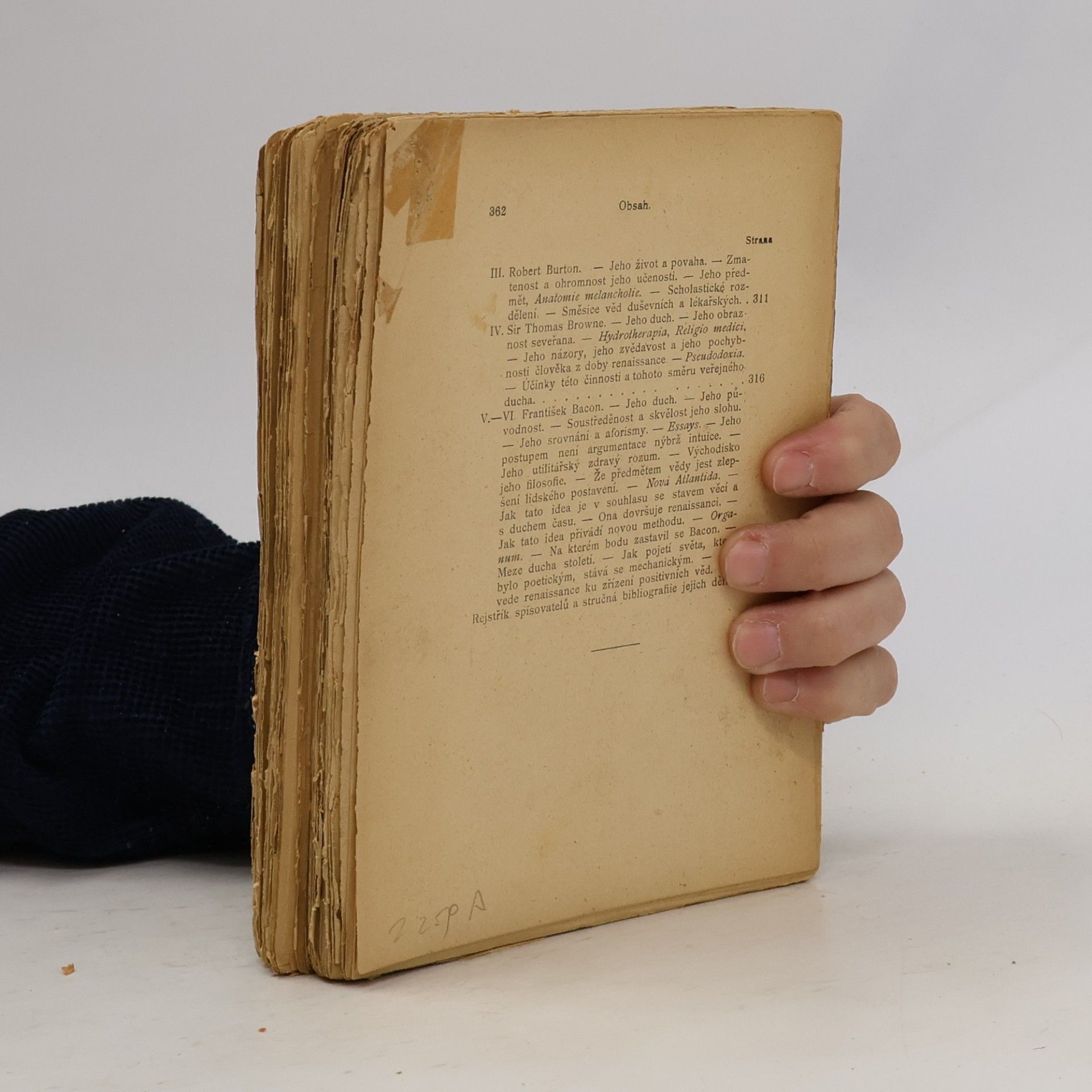Hipppolyte Taine Dějiny literatury anglické I