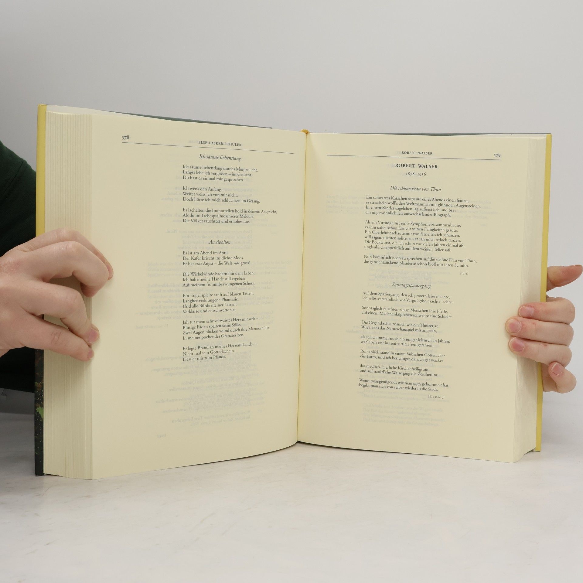Karl Otto Conrady Der neue Conrady. Das große deutsche Gedichtbuch