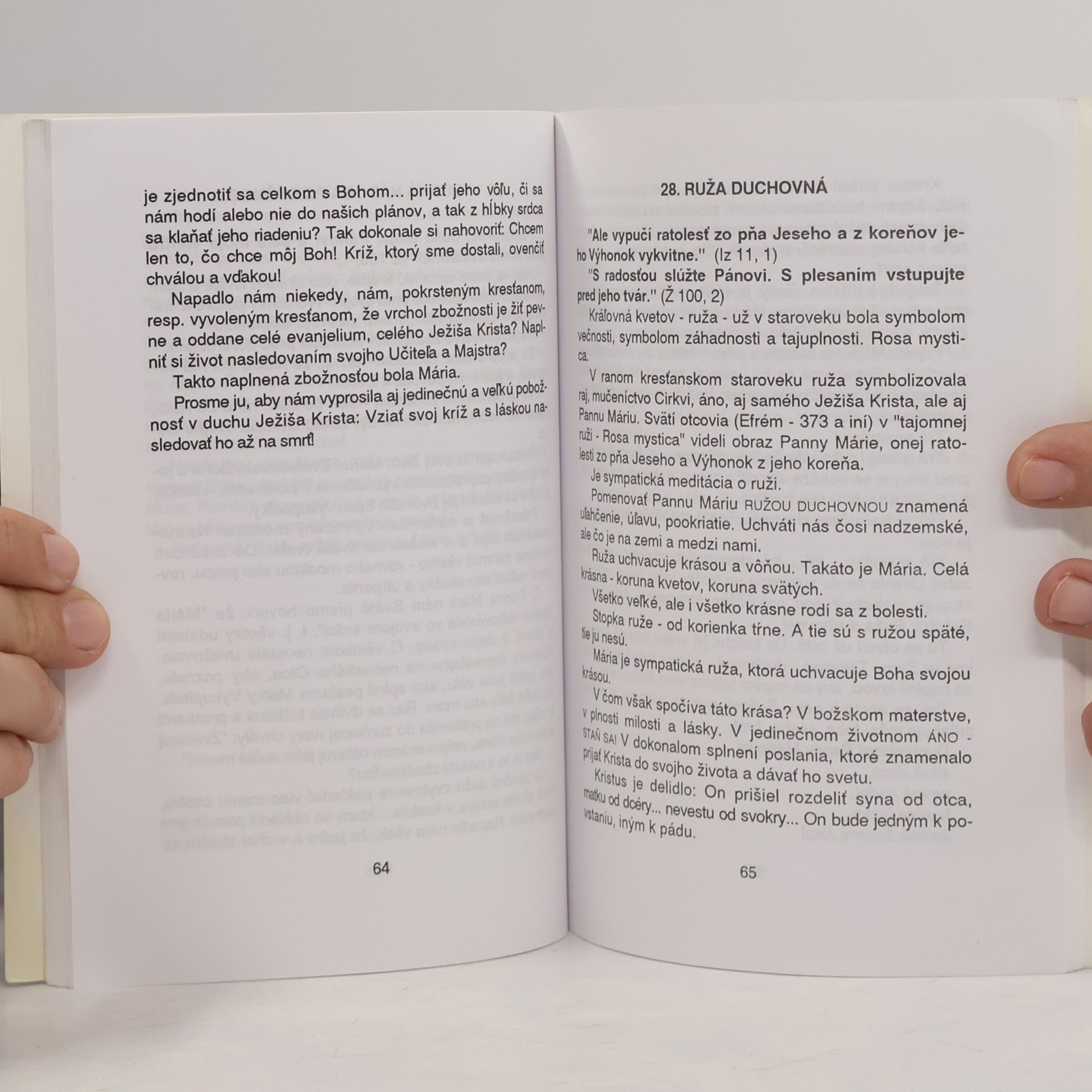 Miriam Liptovská Krátke úvahy o loretánskych litániách