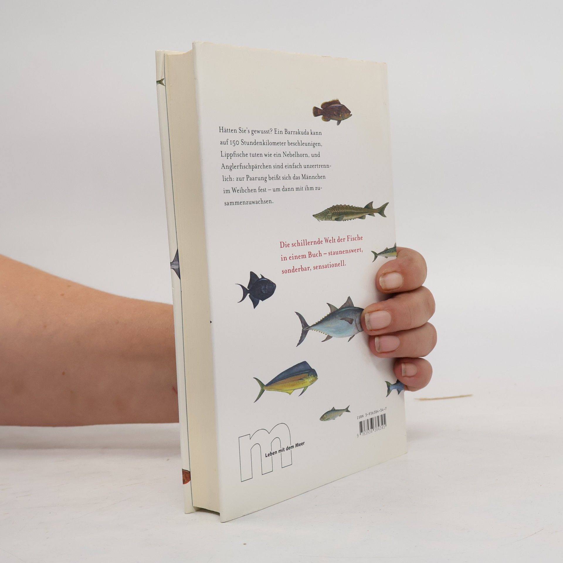 Birgit Pelzer Reith Sex & Lachs & Kabeljau