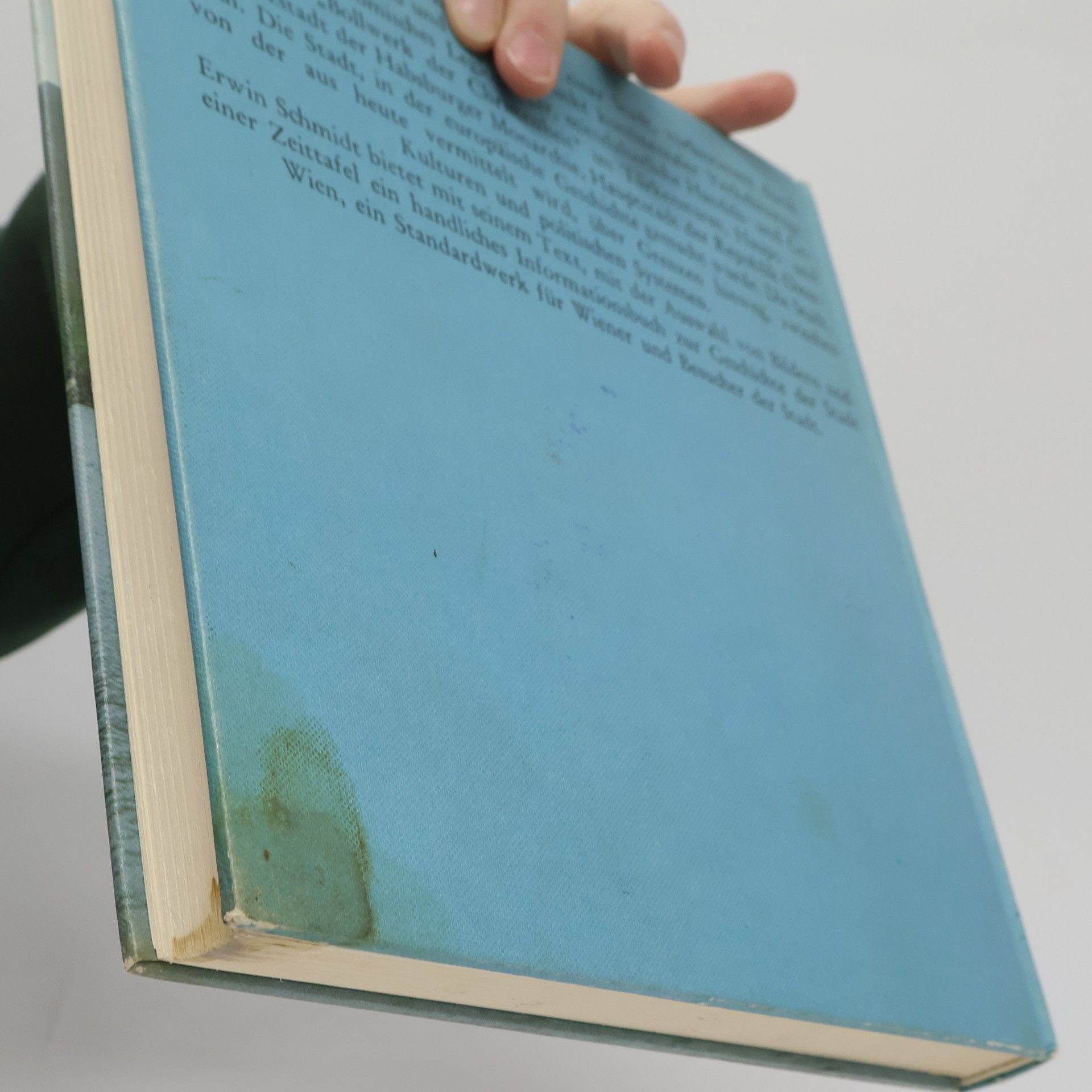 Erwin Schmidt Die Geschichte der Stadt Wien