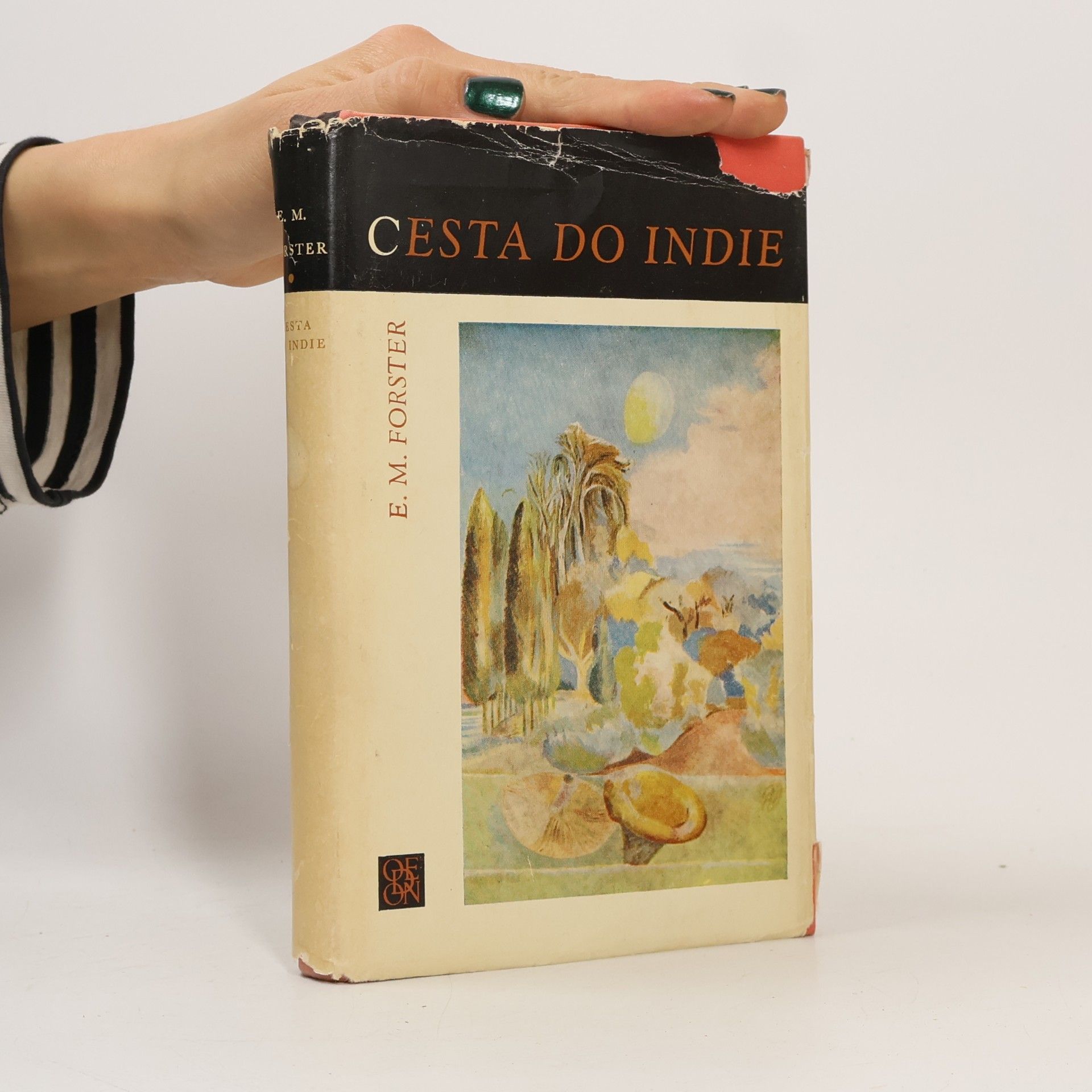 Cesta do Indie