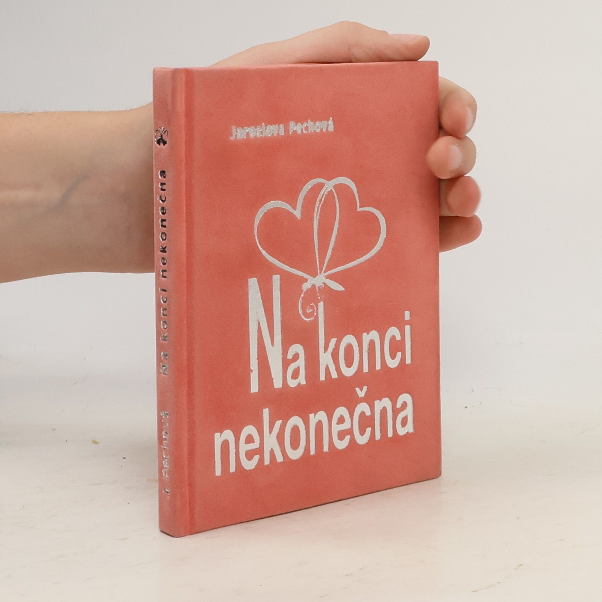 Na konci nekonečna