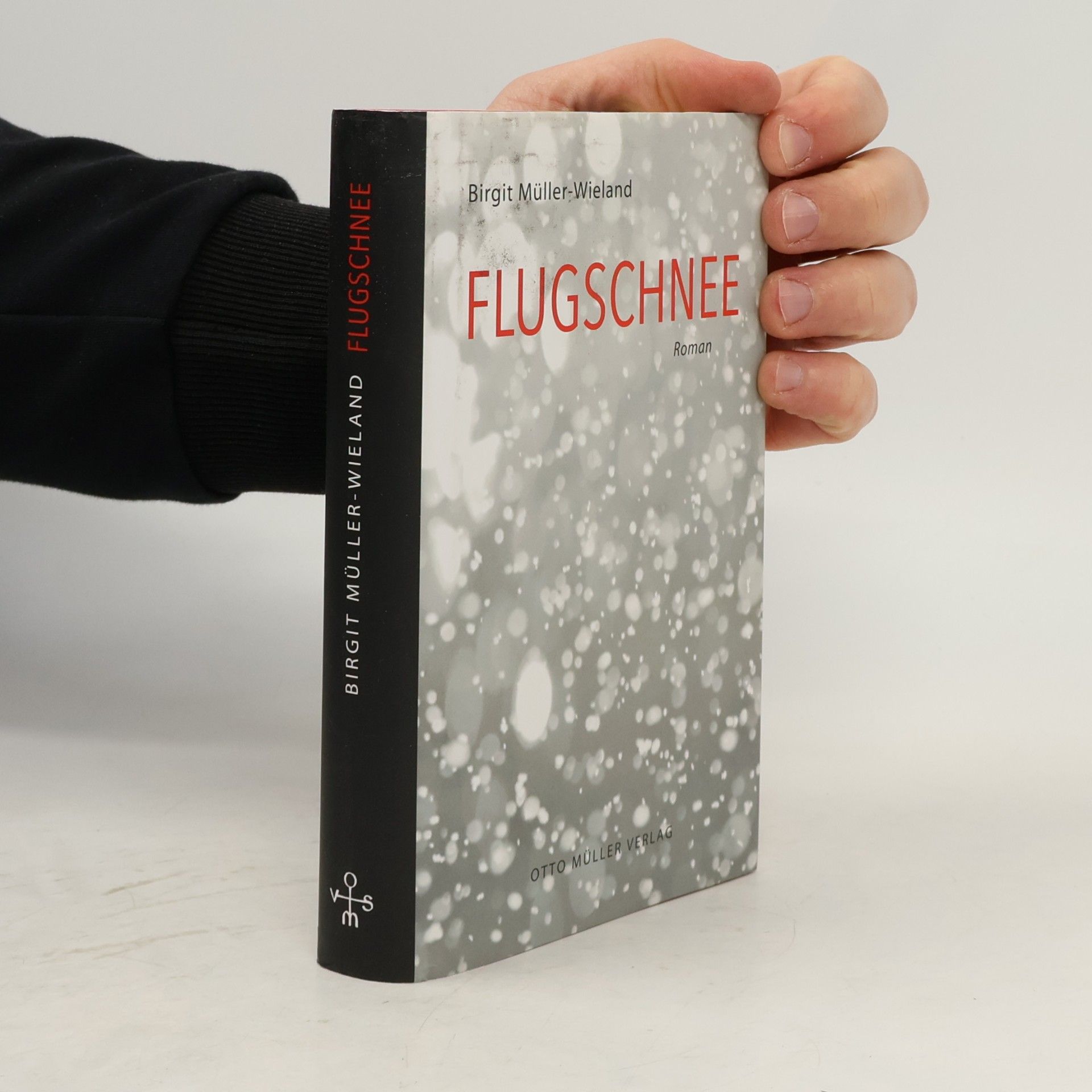 Birgit Müller-Wieland Flugschnee