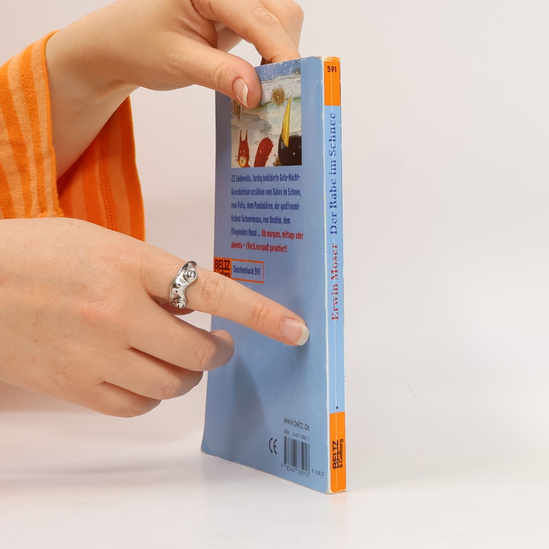 Erwin Moser Der Rabe im Schnee