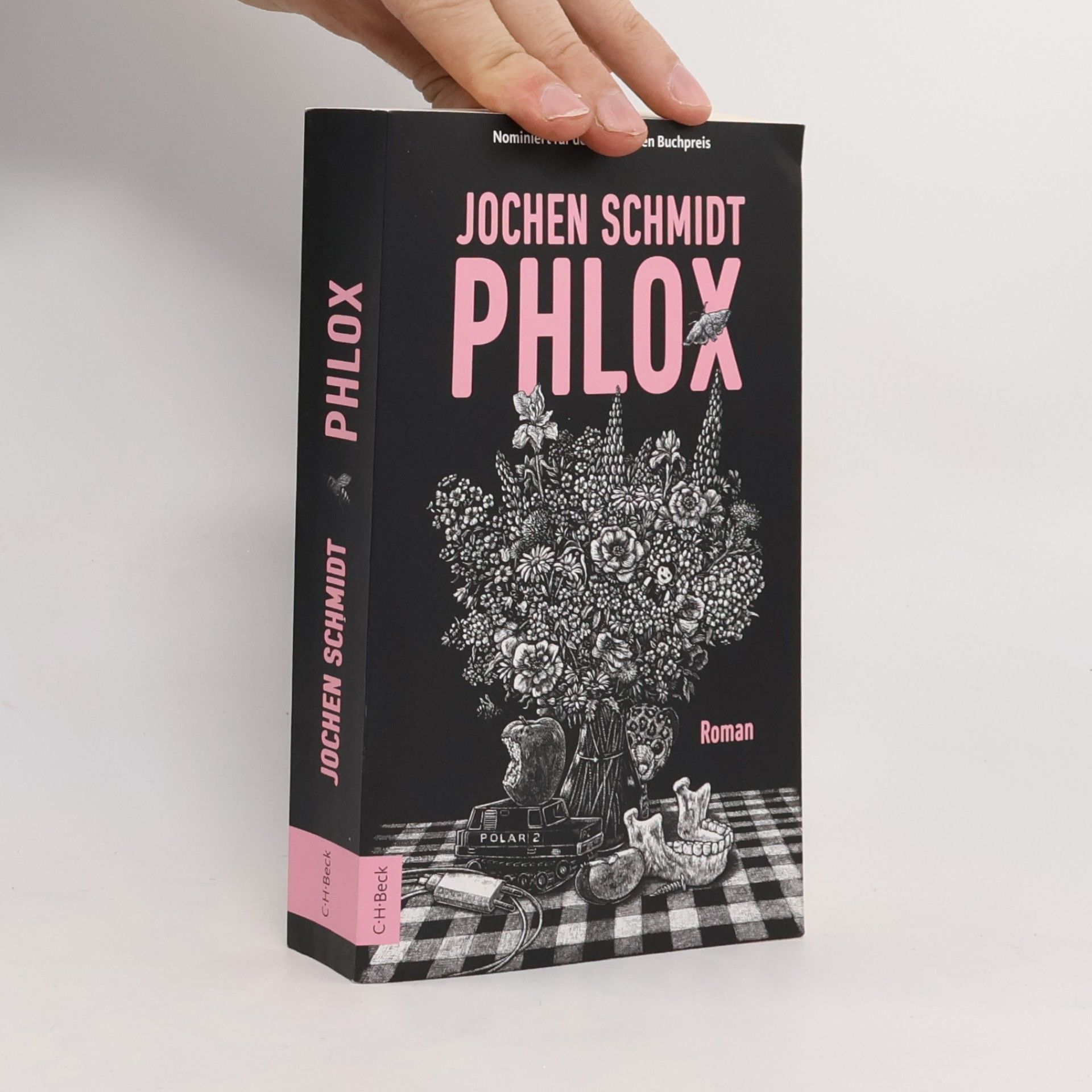 Phlox