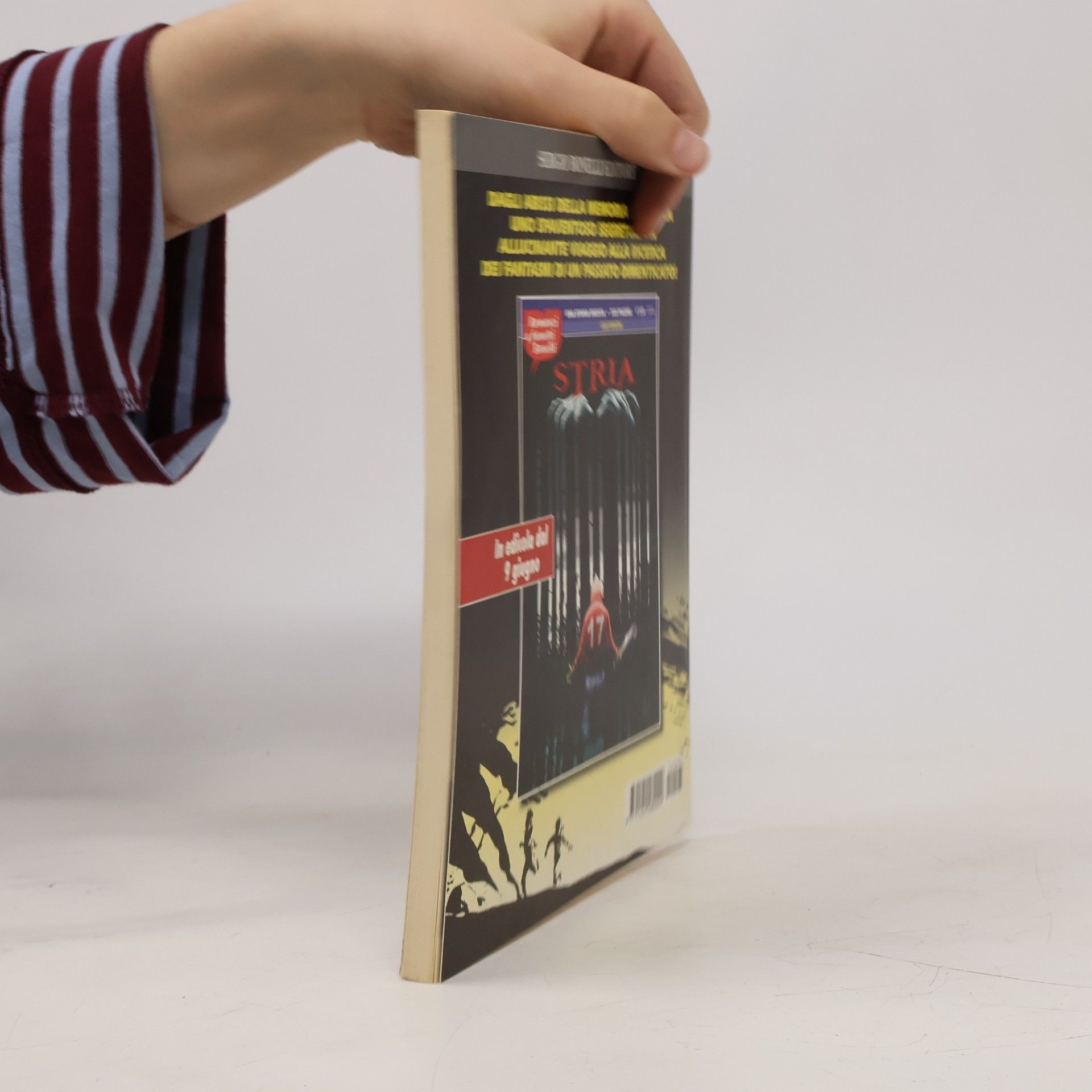 Kolektiv autorů Dylan Dog 297. Il sortilegio