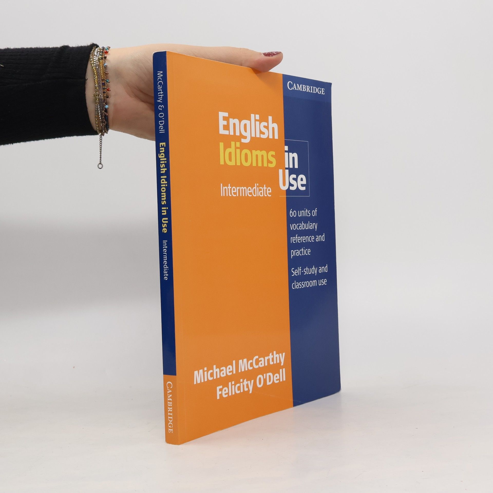 English idioms in use