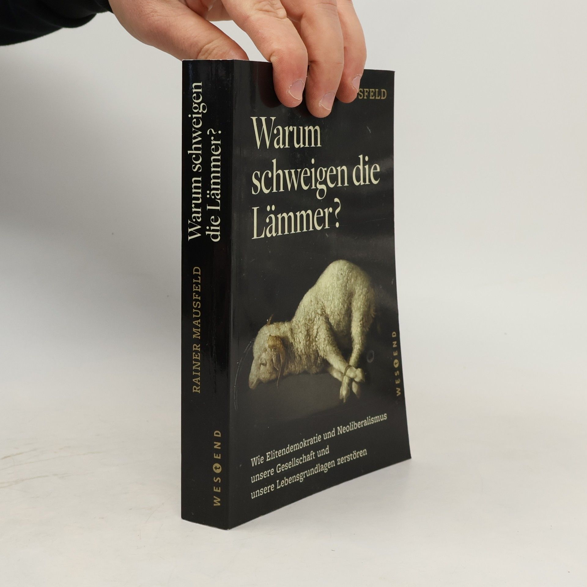 Rainer Mausfeld Warum schweigen die Lämmer?