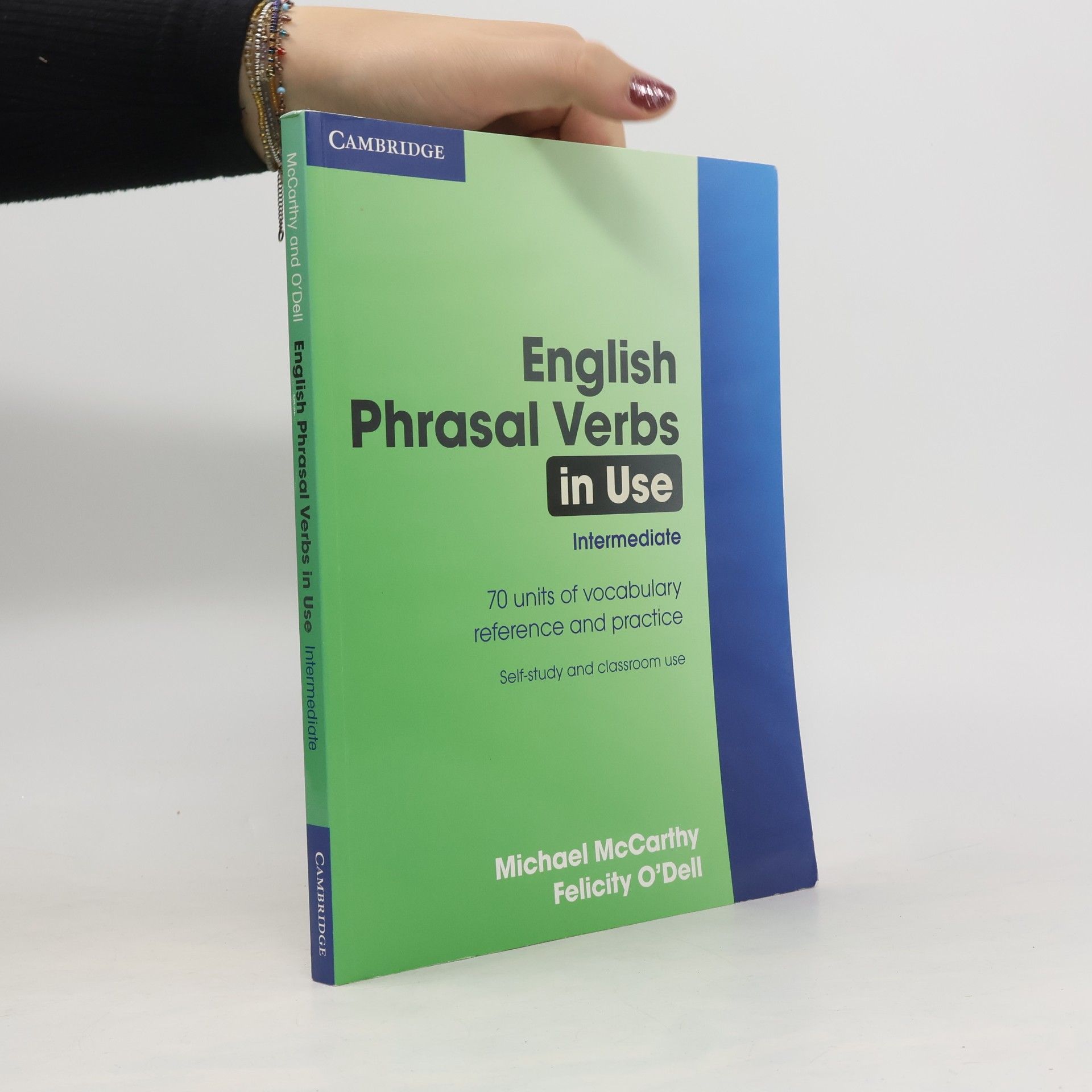 English phrasal verbs in use