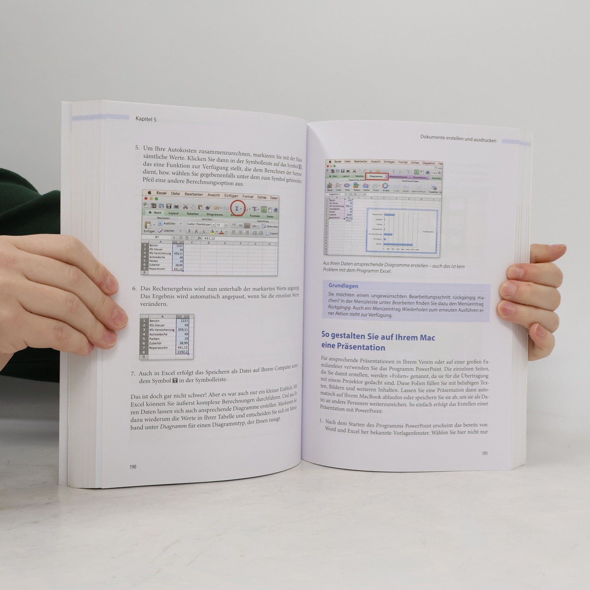 Philip Kiefer Das Mac-Buch für Senioren
