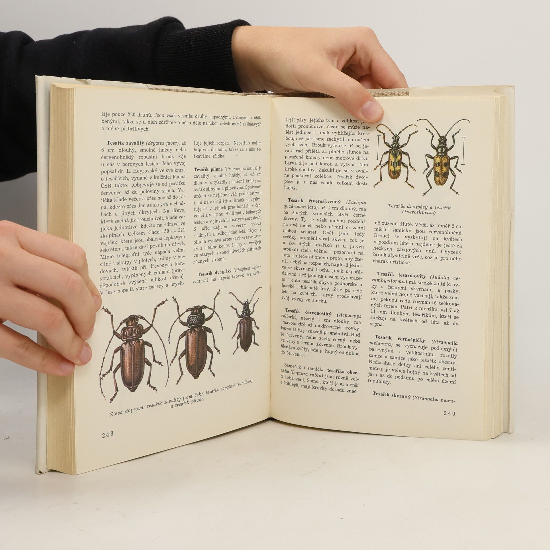 Jan Hanzák Světem zvířat V. Bezobratlí 2