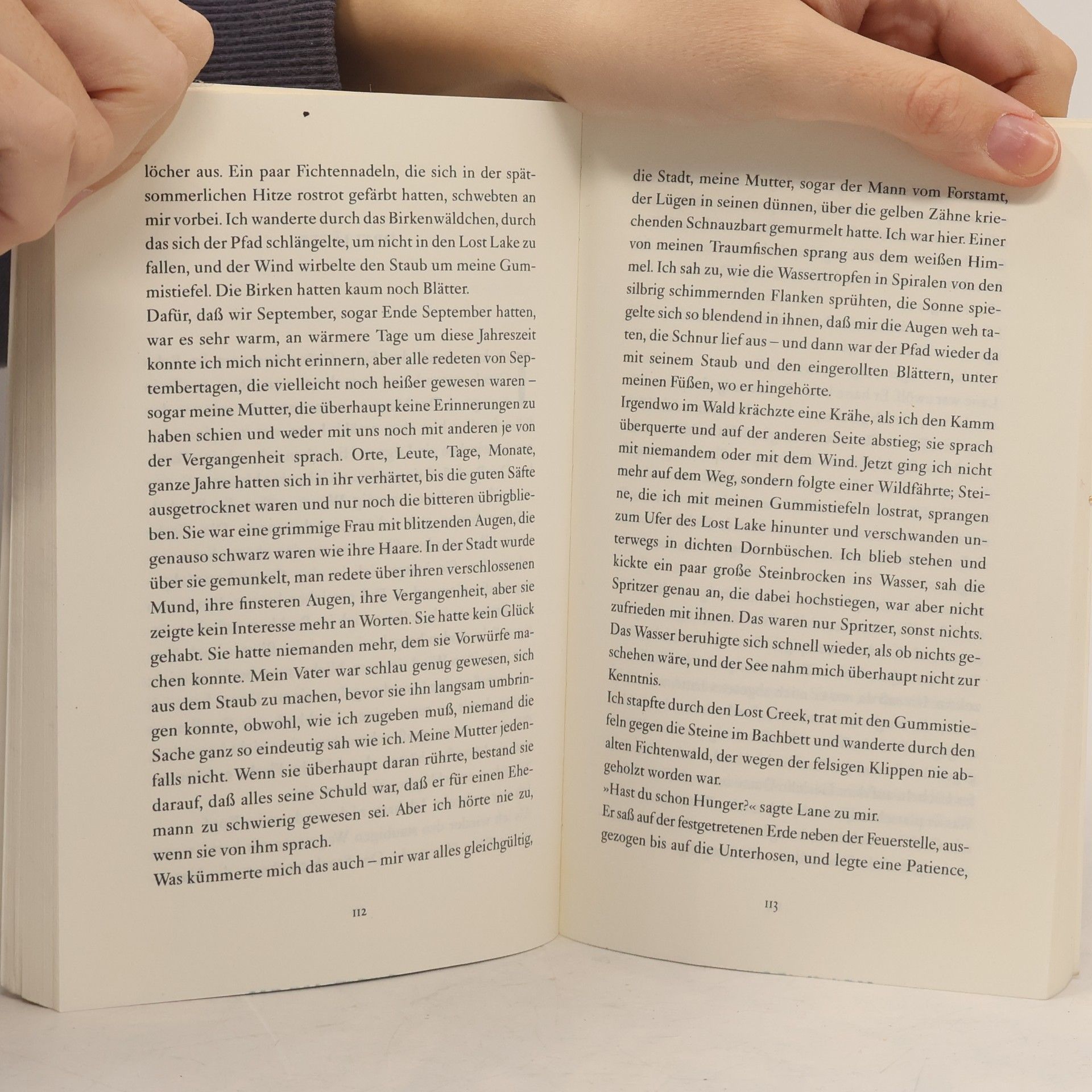 David Guterson Das Land vor uns, das Land hinter uns