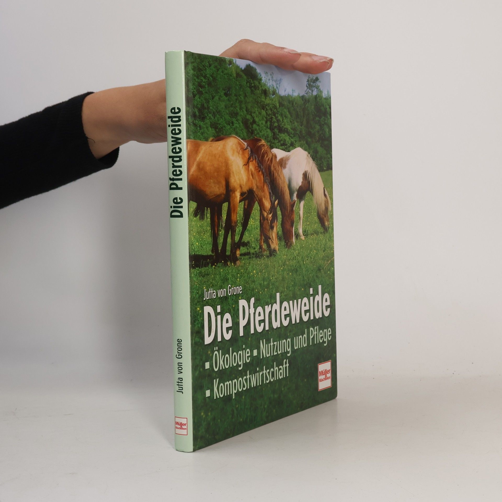 Jutta von Grone Die Pferdeweide