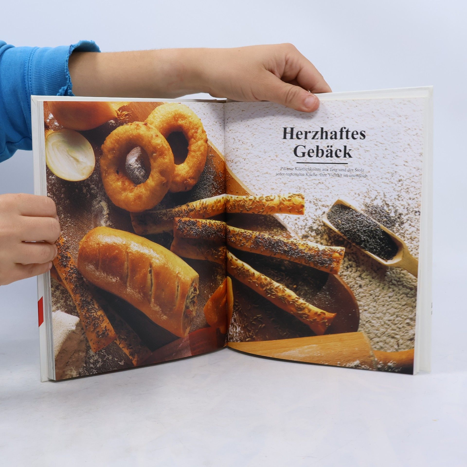 Kolektív autorov Pfiffige Vorspeisen und raffinierte Snacks