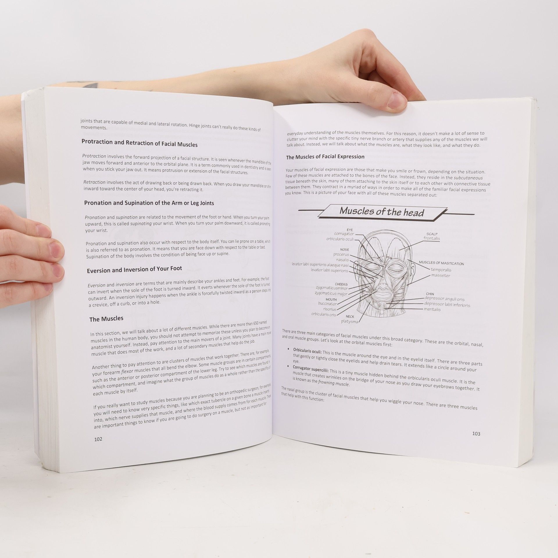 Nedu Anatomy & Physiology Made Easy