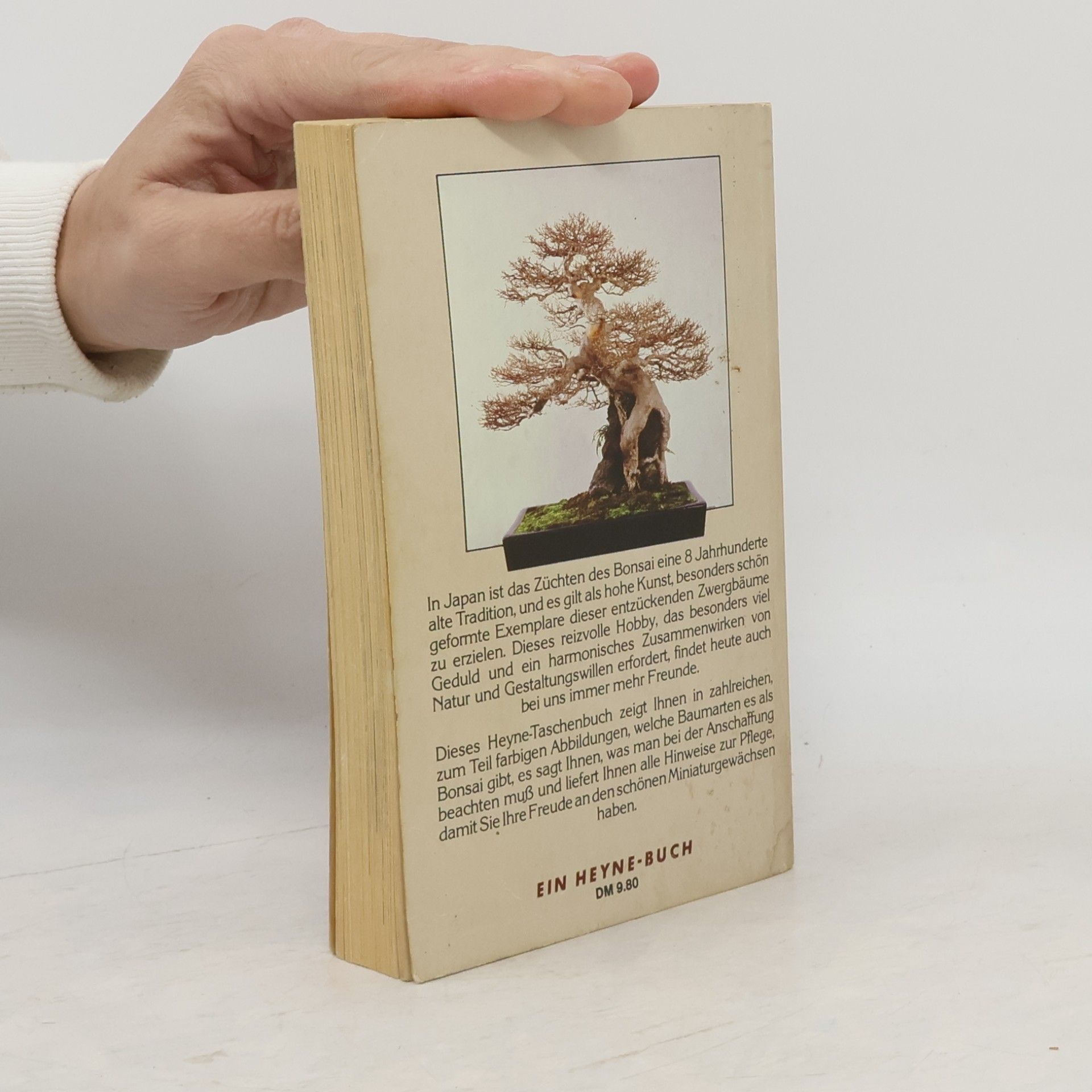 Robert L. Behme Bonsai