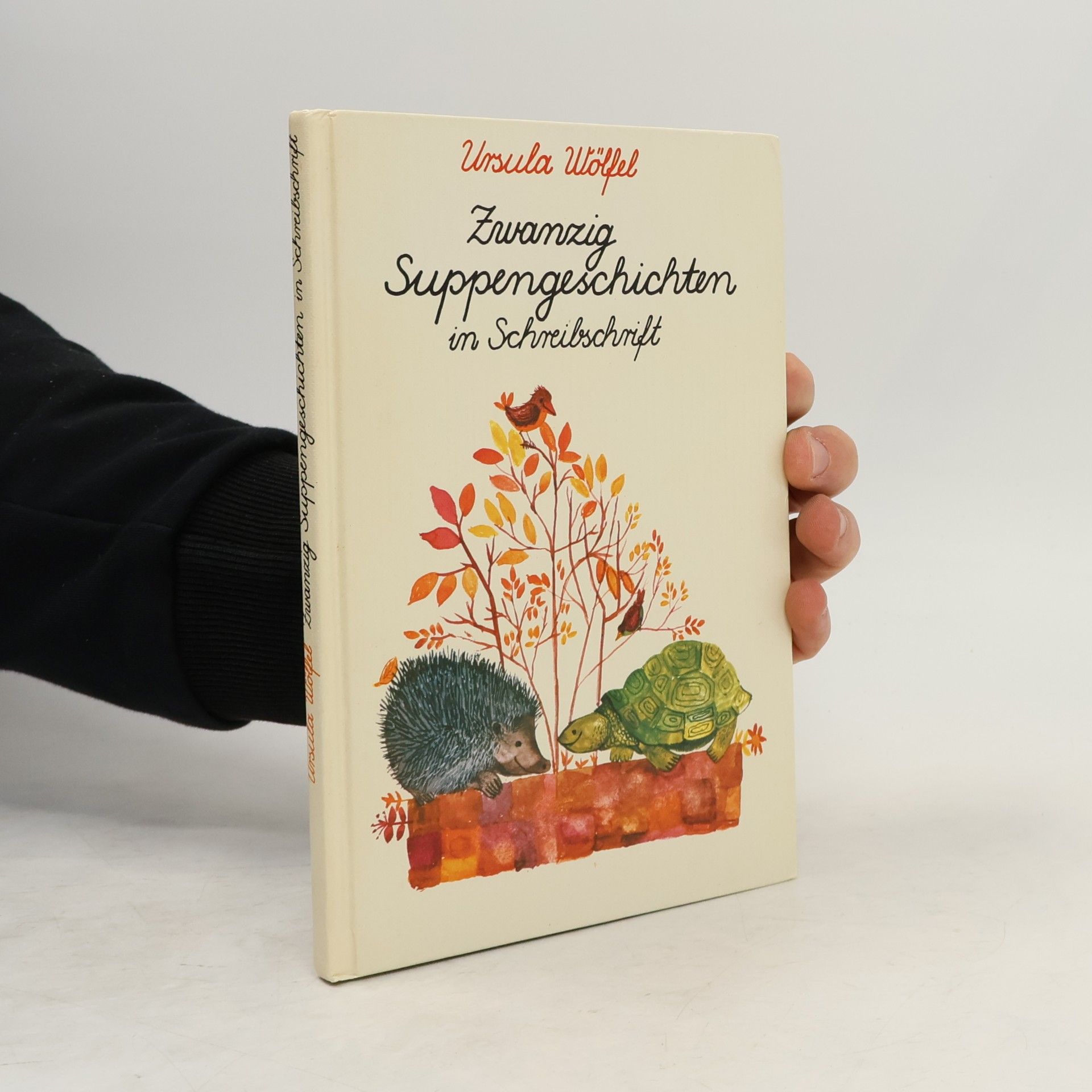Zwanzig Suppengeschichten in Schreibschrift