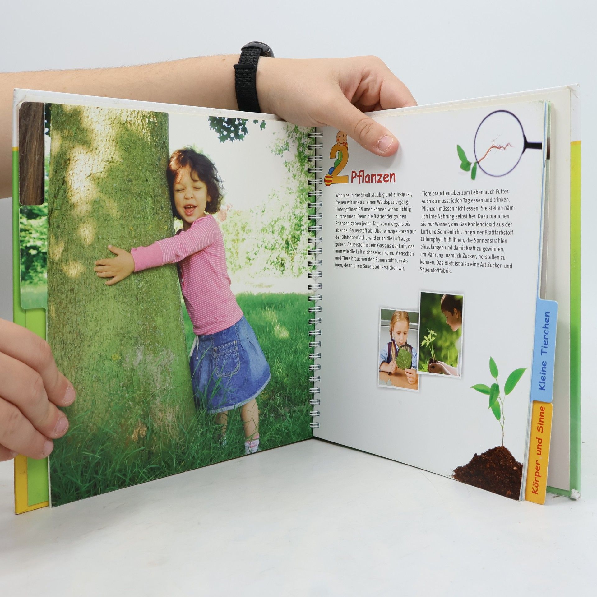 Anita van Saan Mein Experimentierbuch Pflanzen, Tiere & Co.