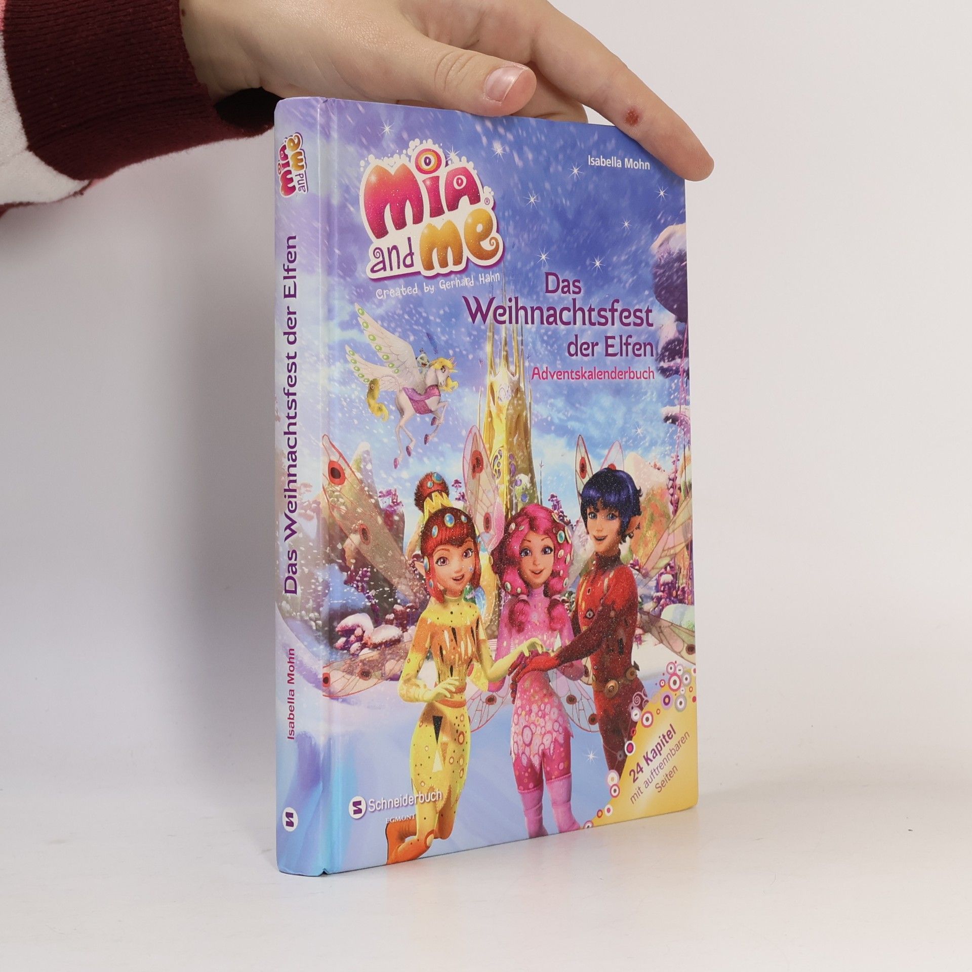 Das Weihnachtsfest der Elfen