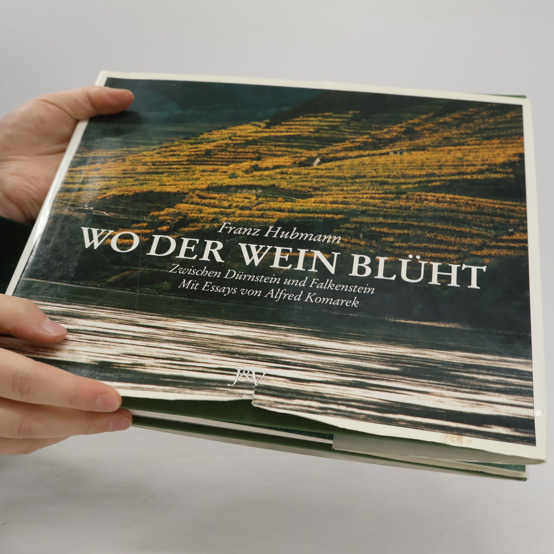 Franz Hubmann Wo der Wein blüht