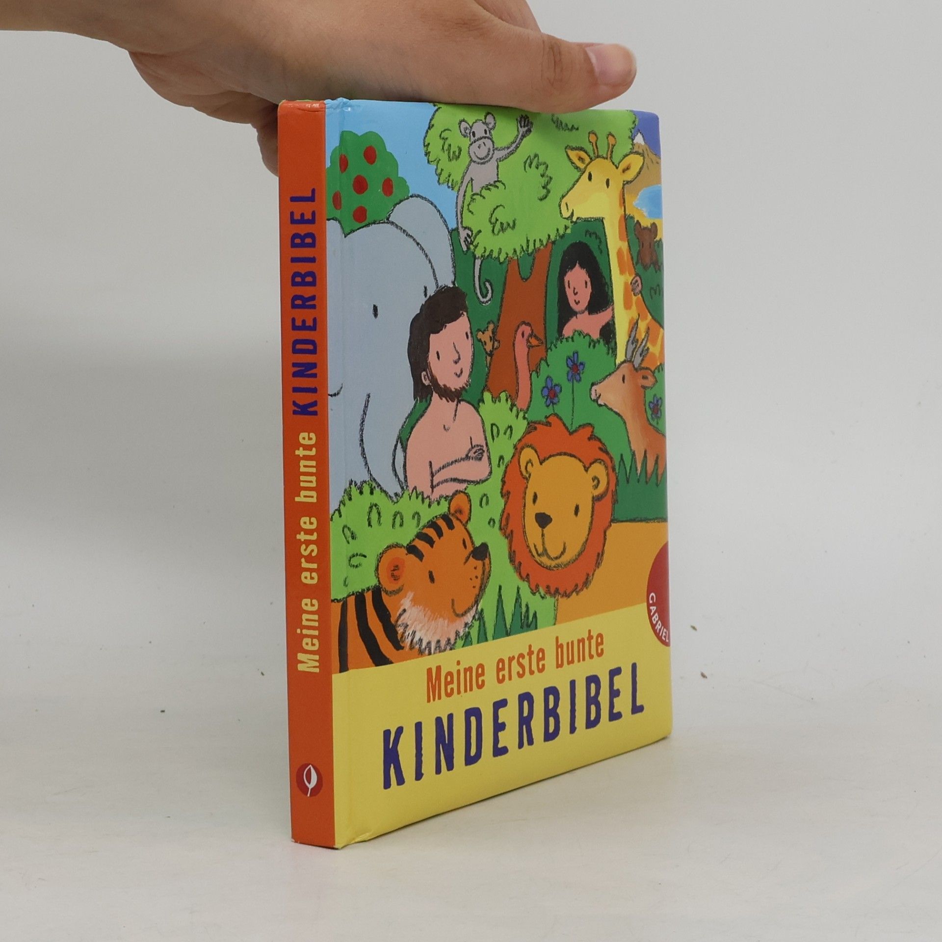 Meine erste bunte Kinderbibel