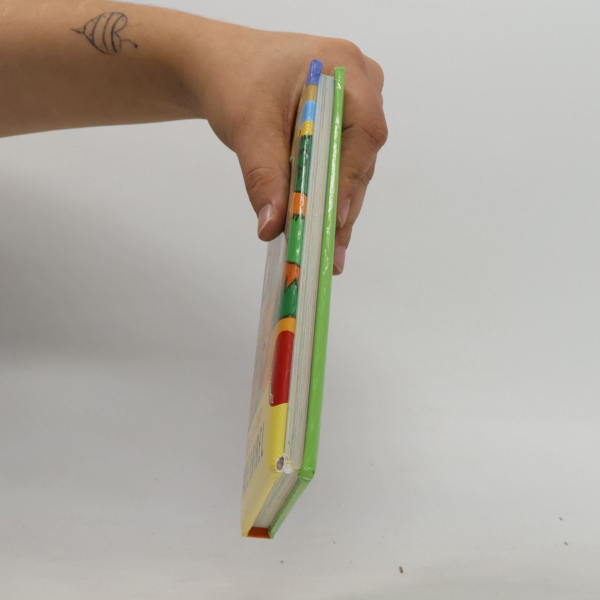 Beate Brielmaier Meine erste bunte Kinderbibel