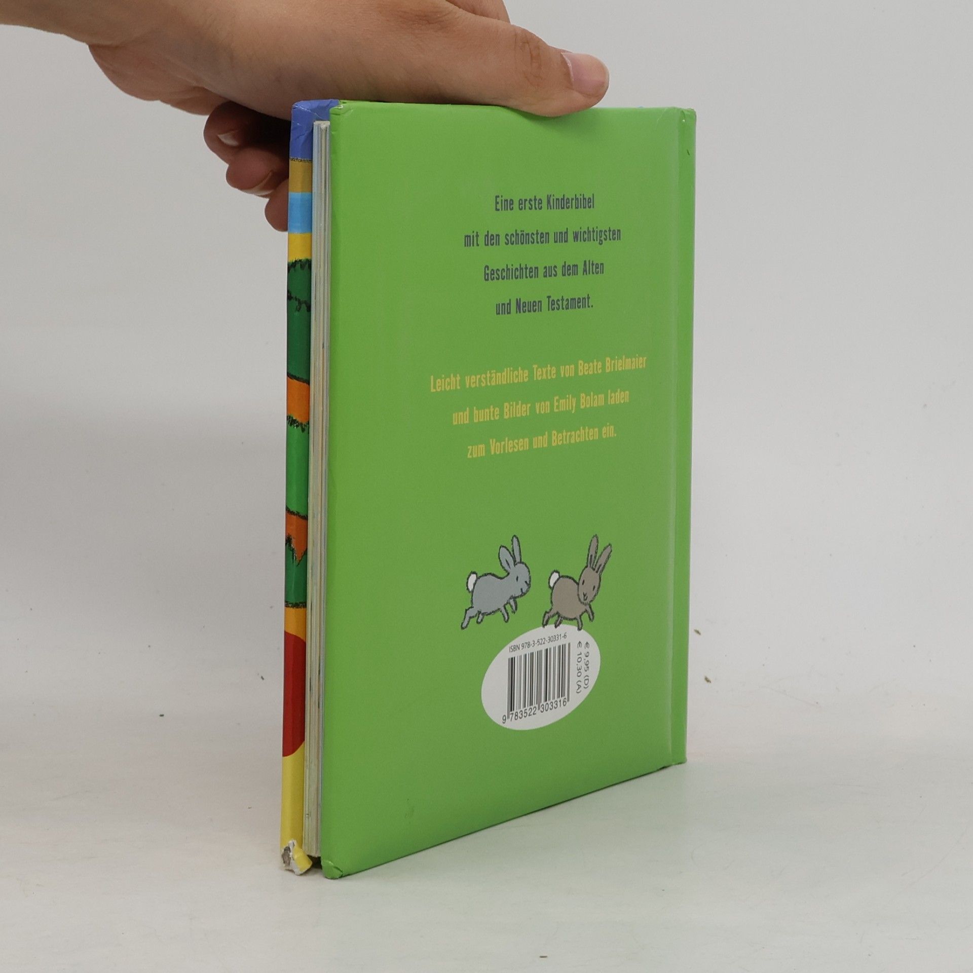 Beate Brielmaier Meine erste bunte Kinderbibel