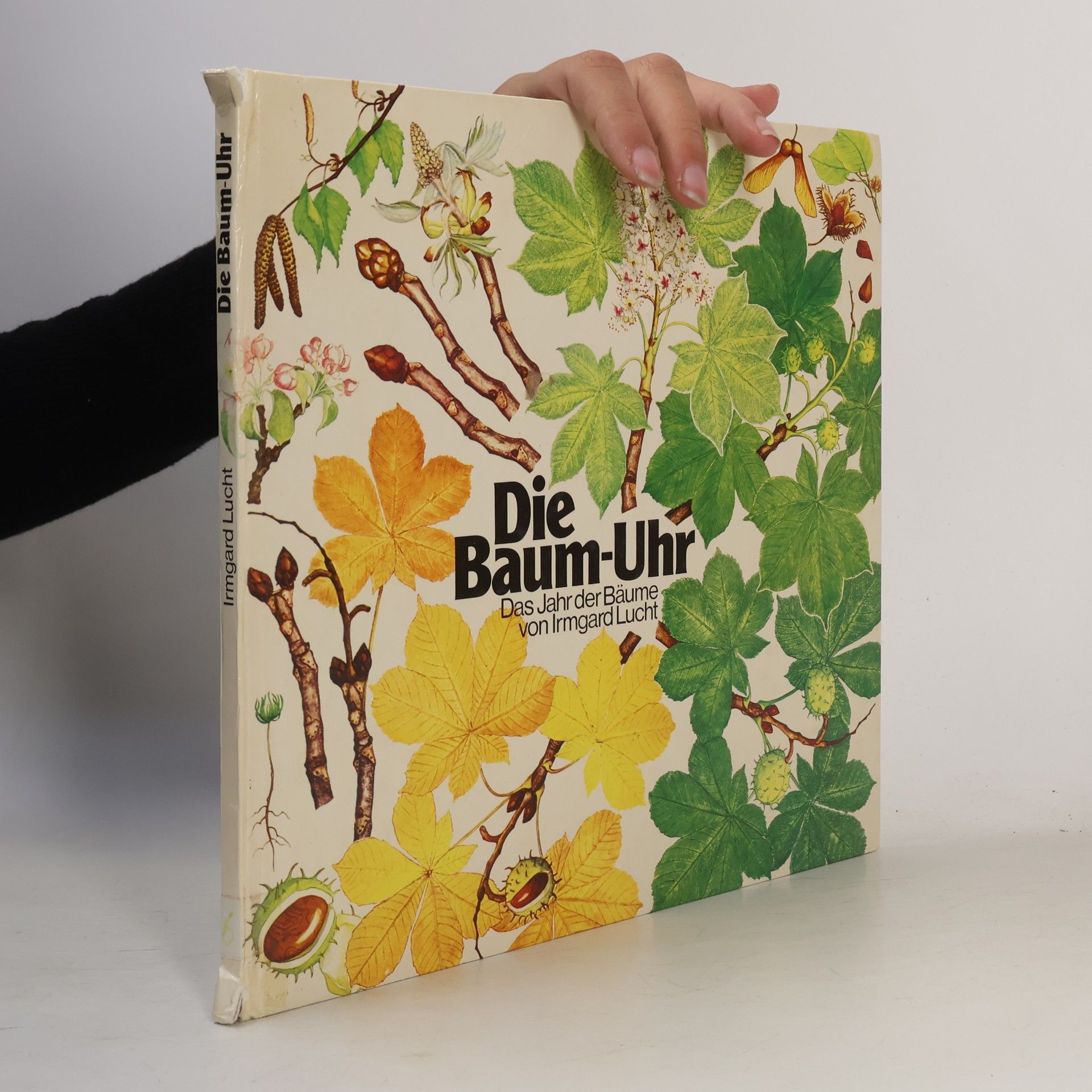 AA.VV. Die Baum-Uhr