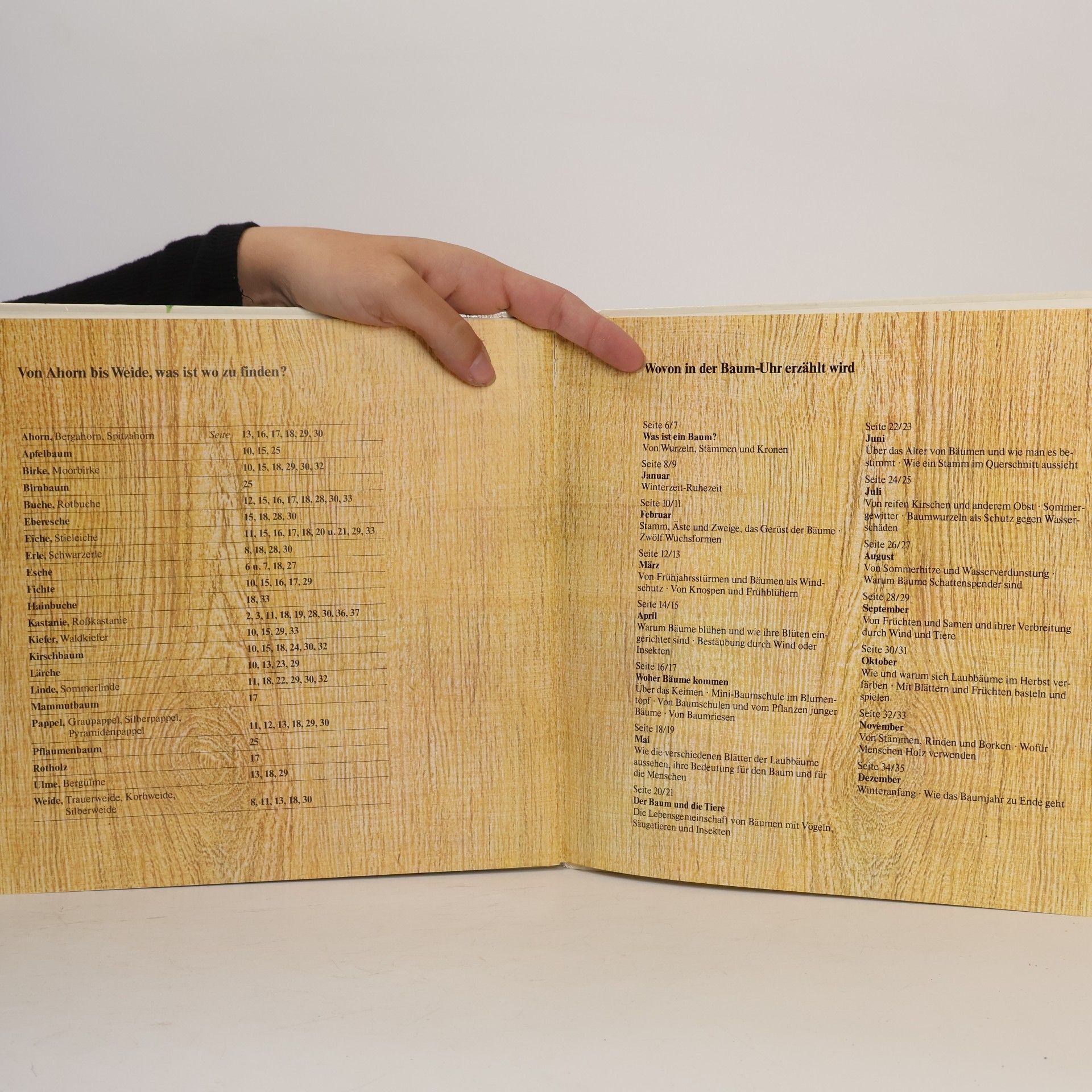 AA.VV. Die Baum-Uhr