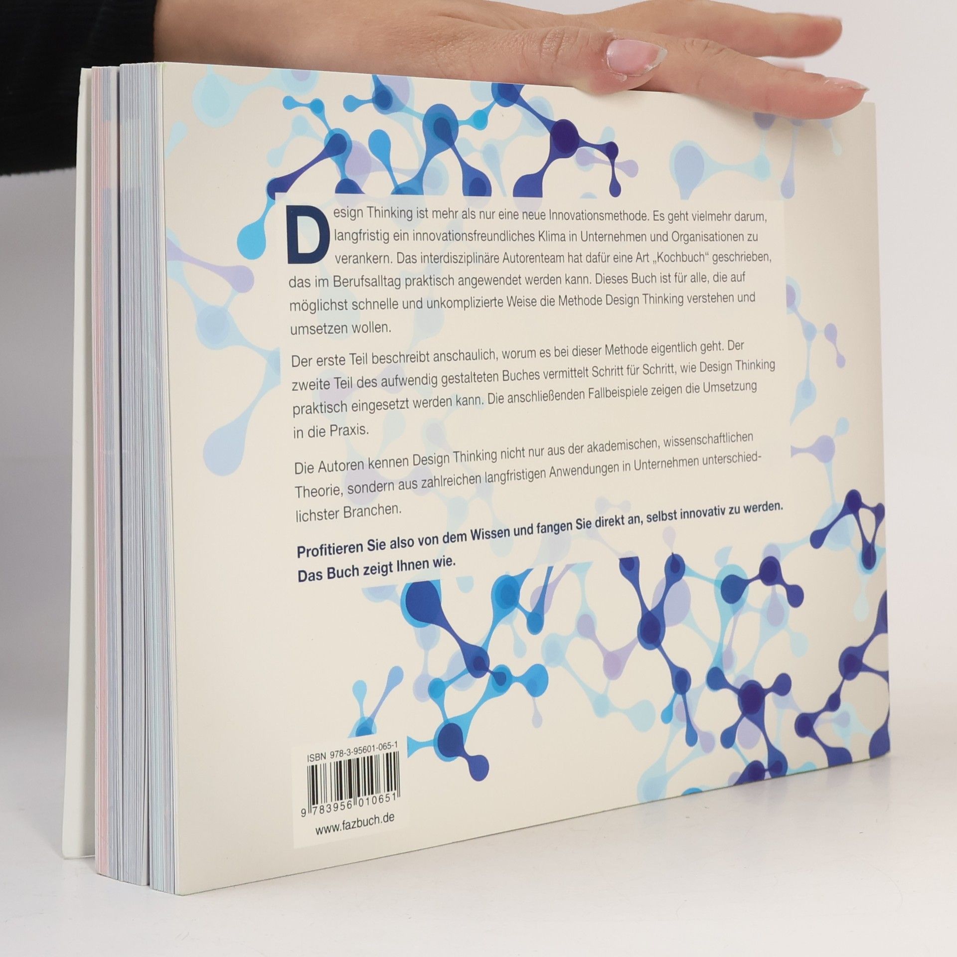 Falk Uebernickel Design Thinking, das Handbuch
