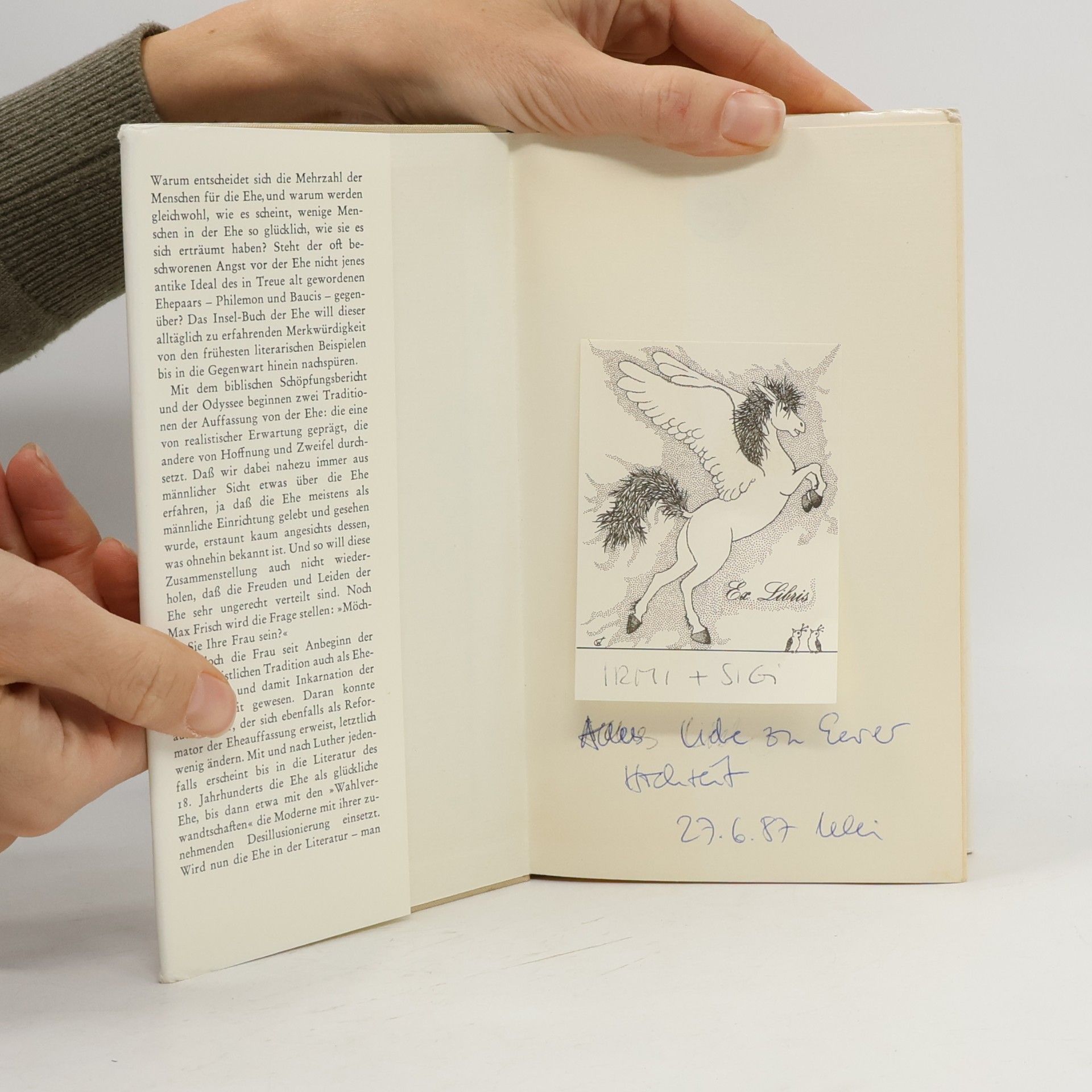 Christoph Groffy Das Insel-Buch der Ehe