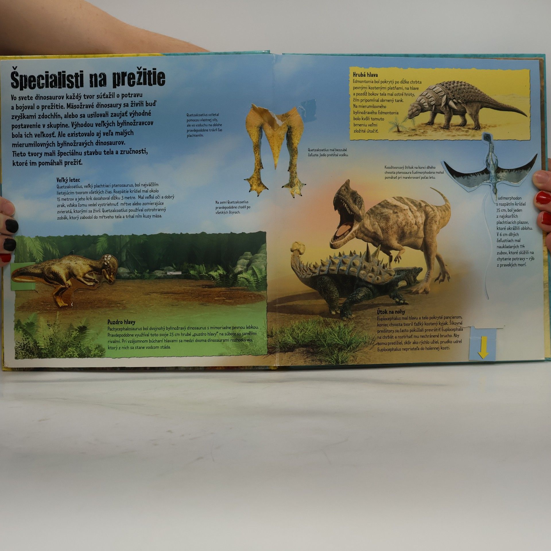 Various authors Dinosaury 3-rozmerné