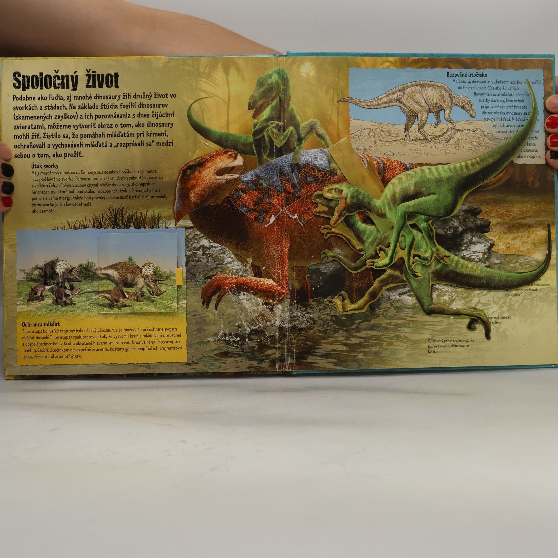 Various authors Dinosaury 3-rozmerné