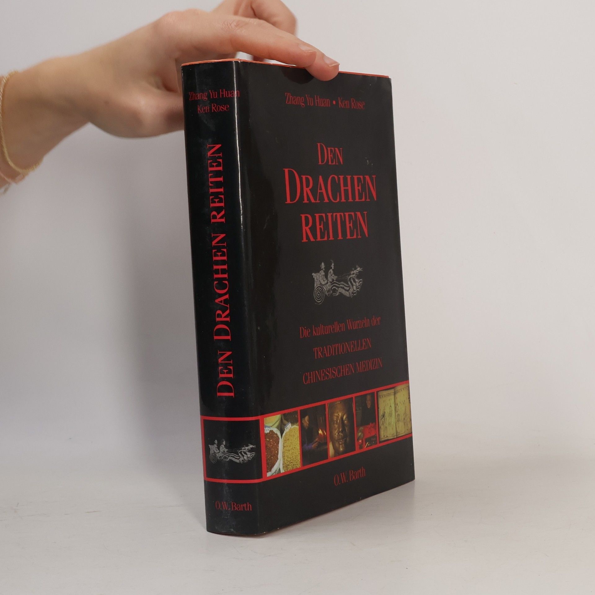 Den Drachen reiten