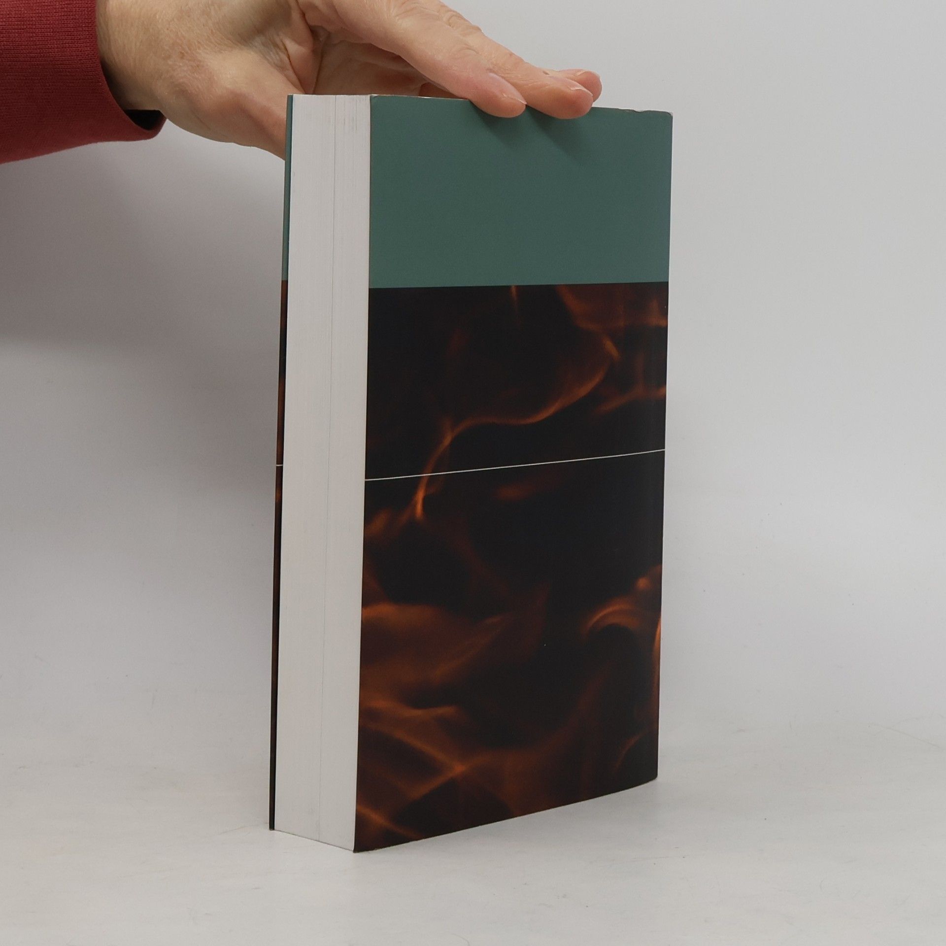 Sara Paretsky Feuereifer. Fire Sale
