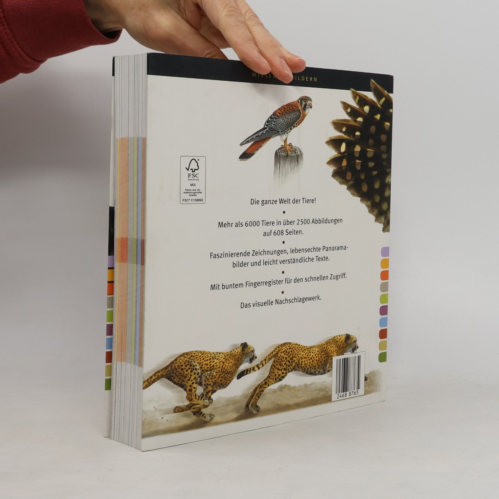 Autorenkollektiv Mein Bildlexikon Tiere