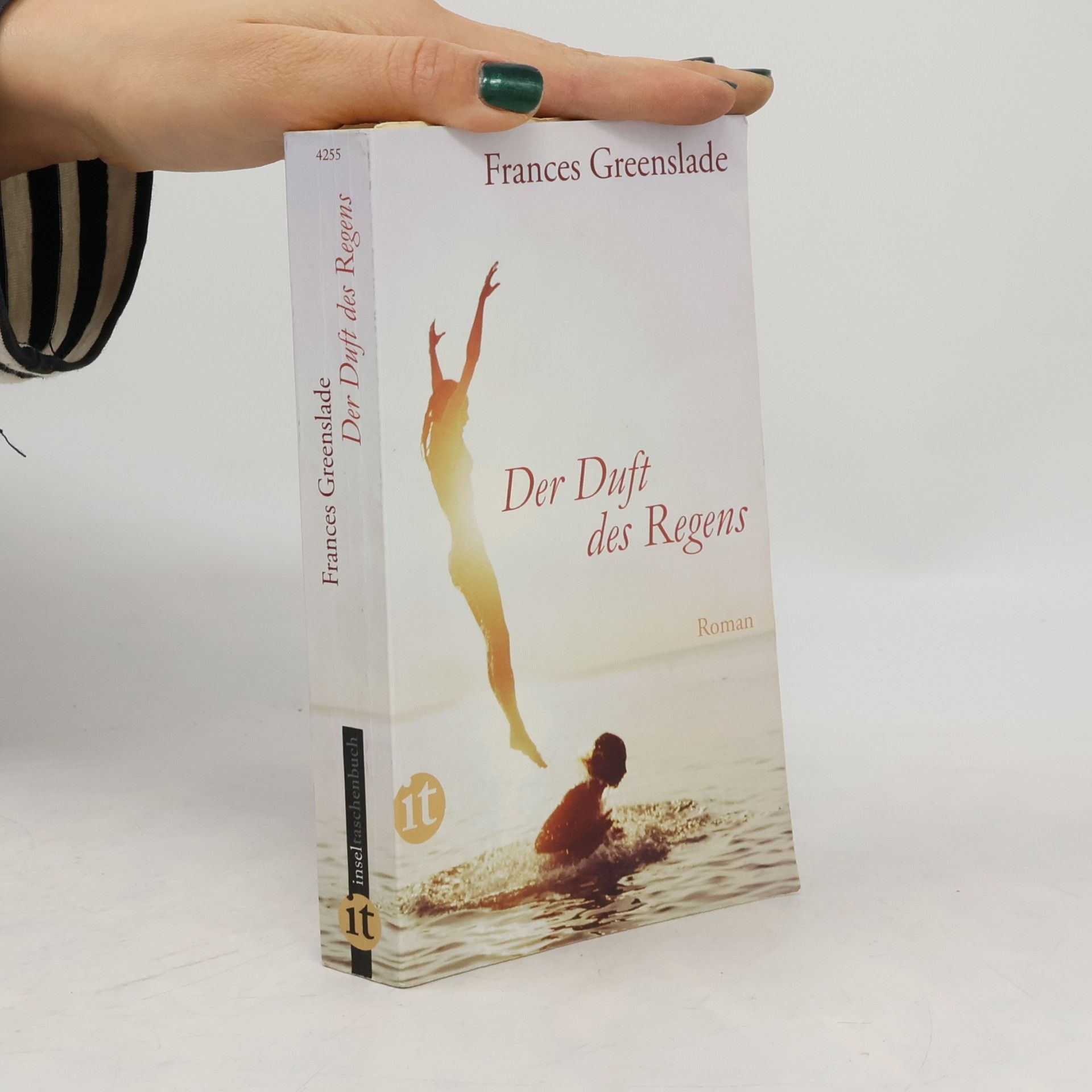 Der Duft des Regens: Roman